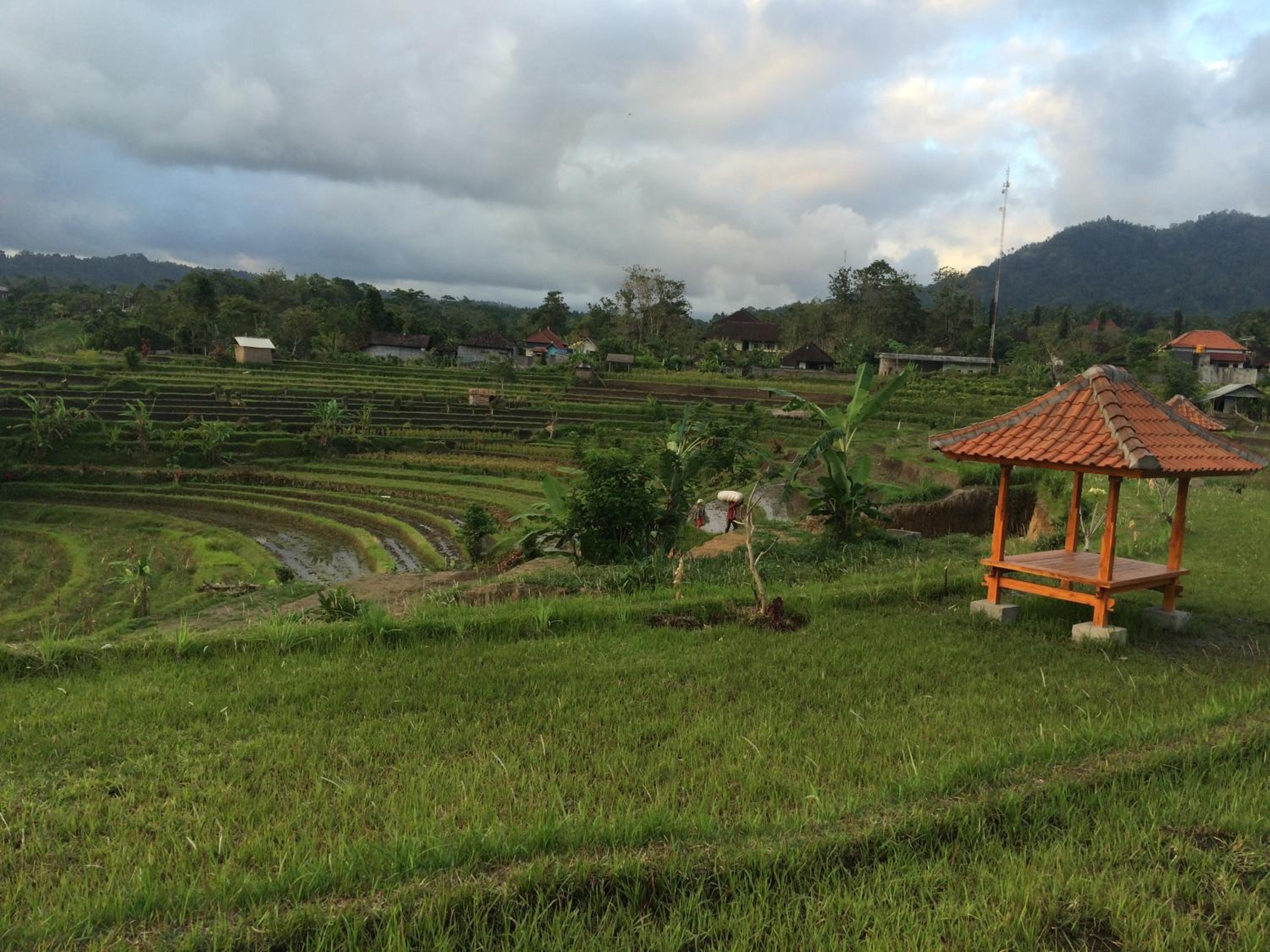Bungalow with Garden View - Photo 41