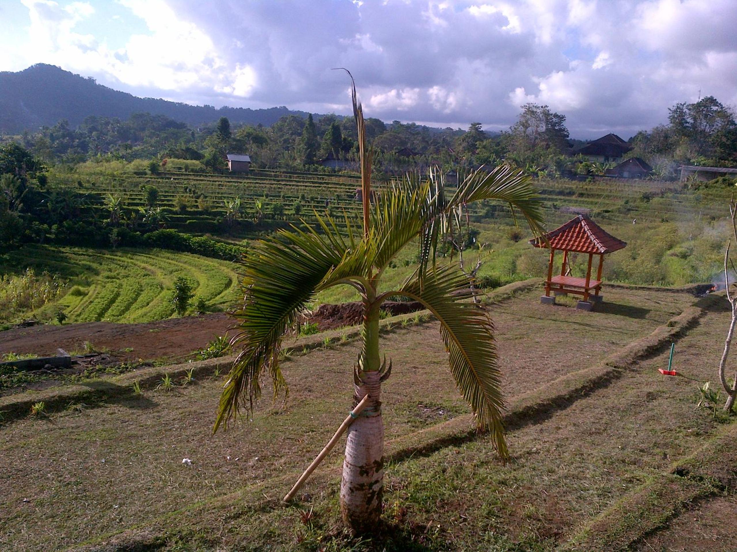 Bungalow with Garden View - Photo 40