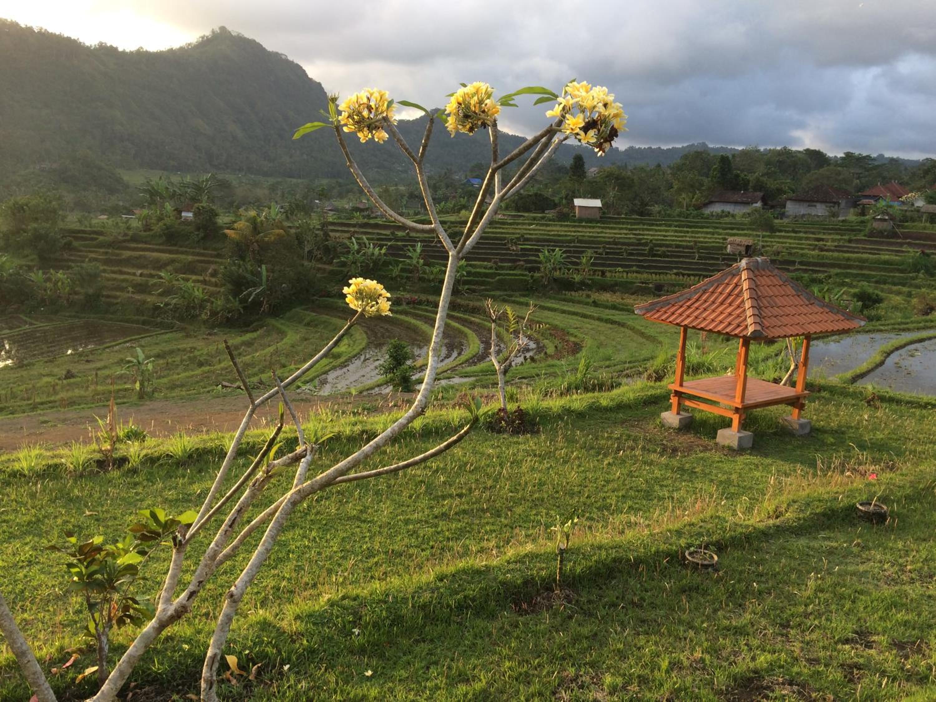 Bungalow with Garden View - Photo 39