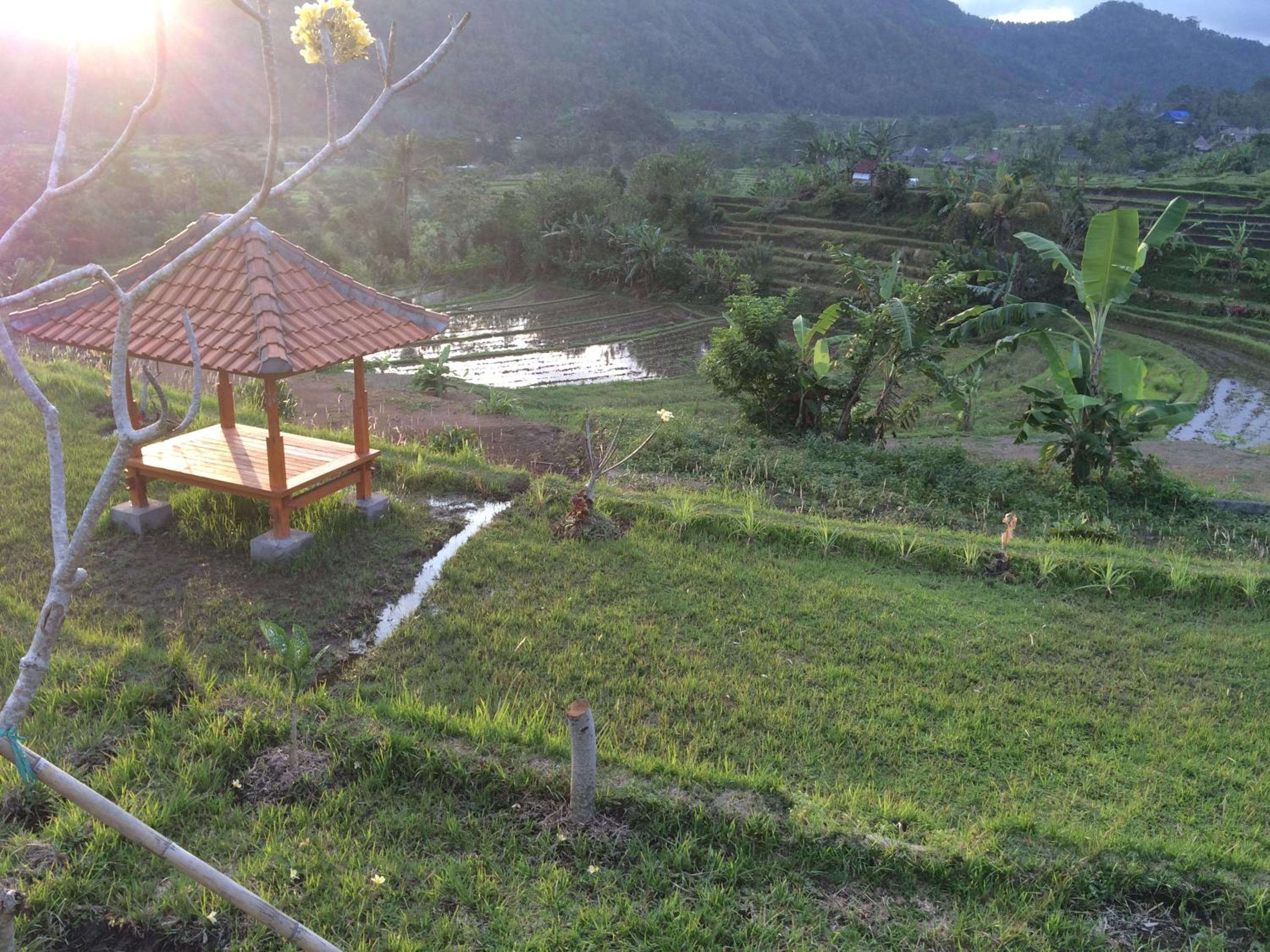 Bungalow with Garden View - Photo 36
