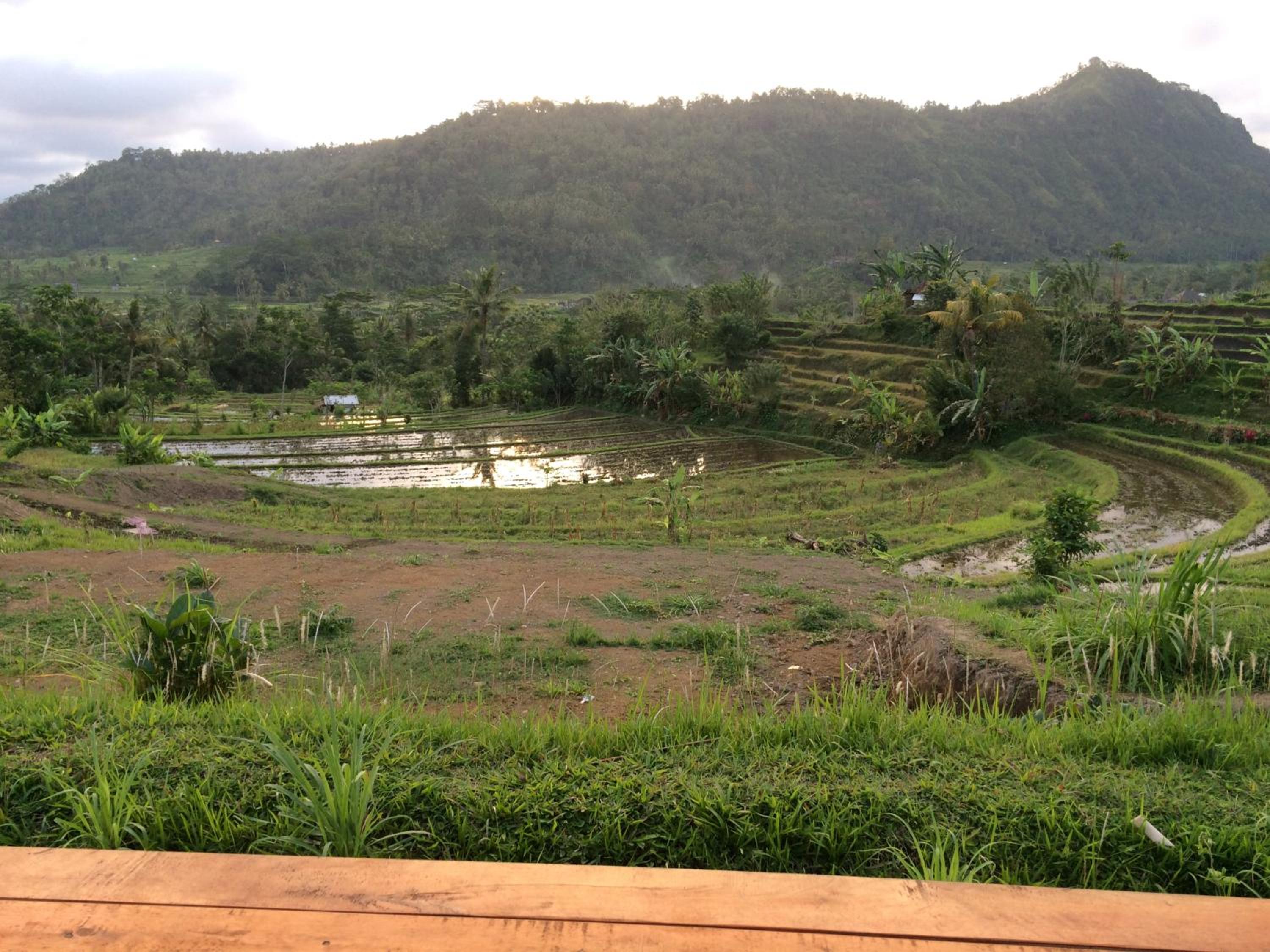 Bungalow with Garden View - Photo 38