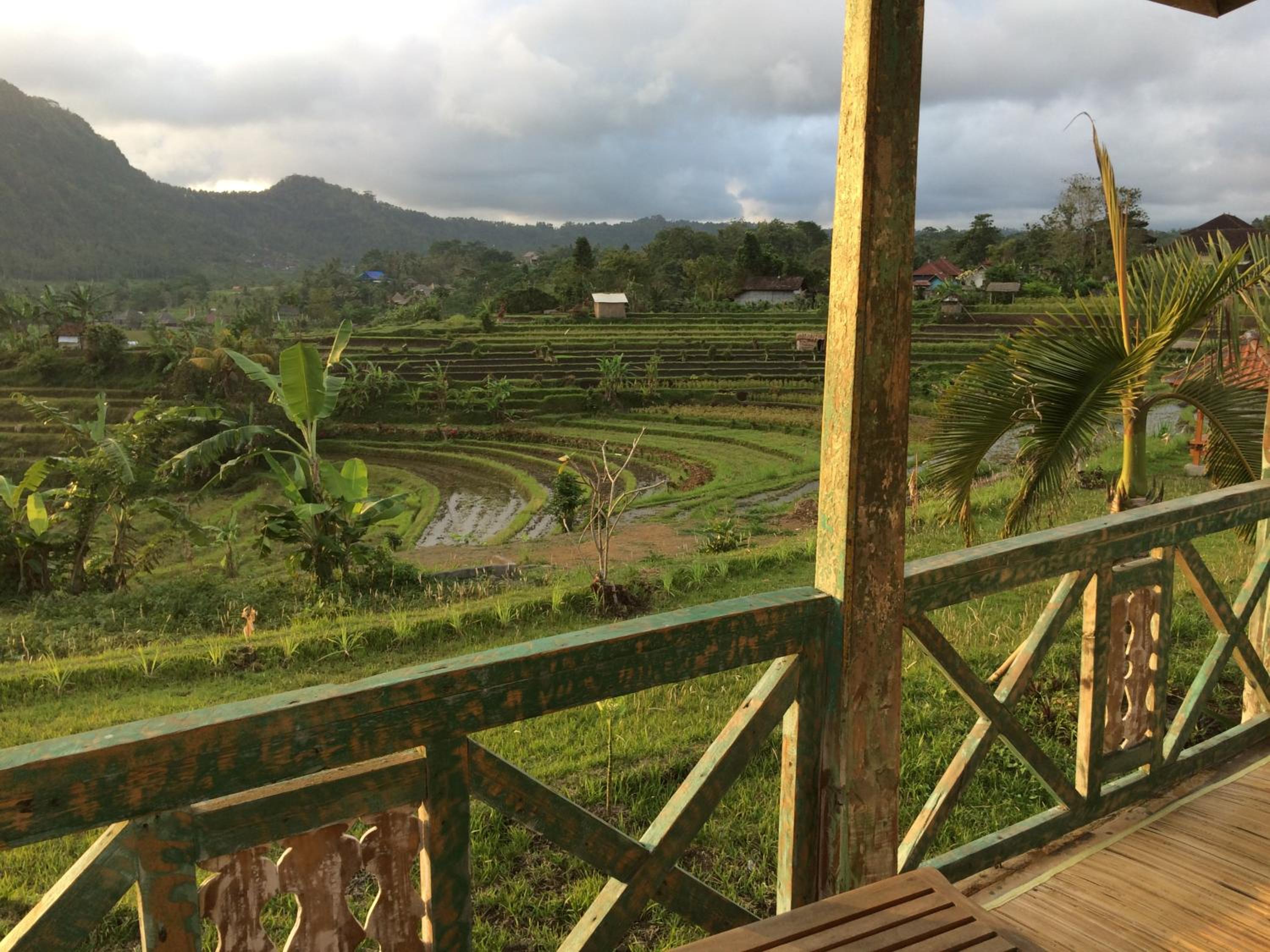 Bungalow with Garden View - Photo 109