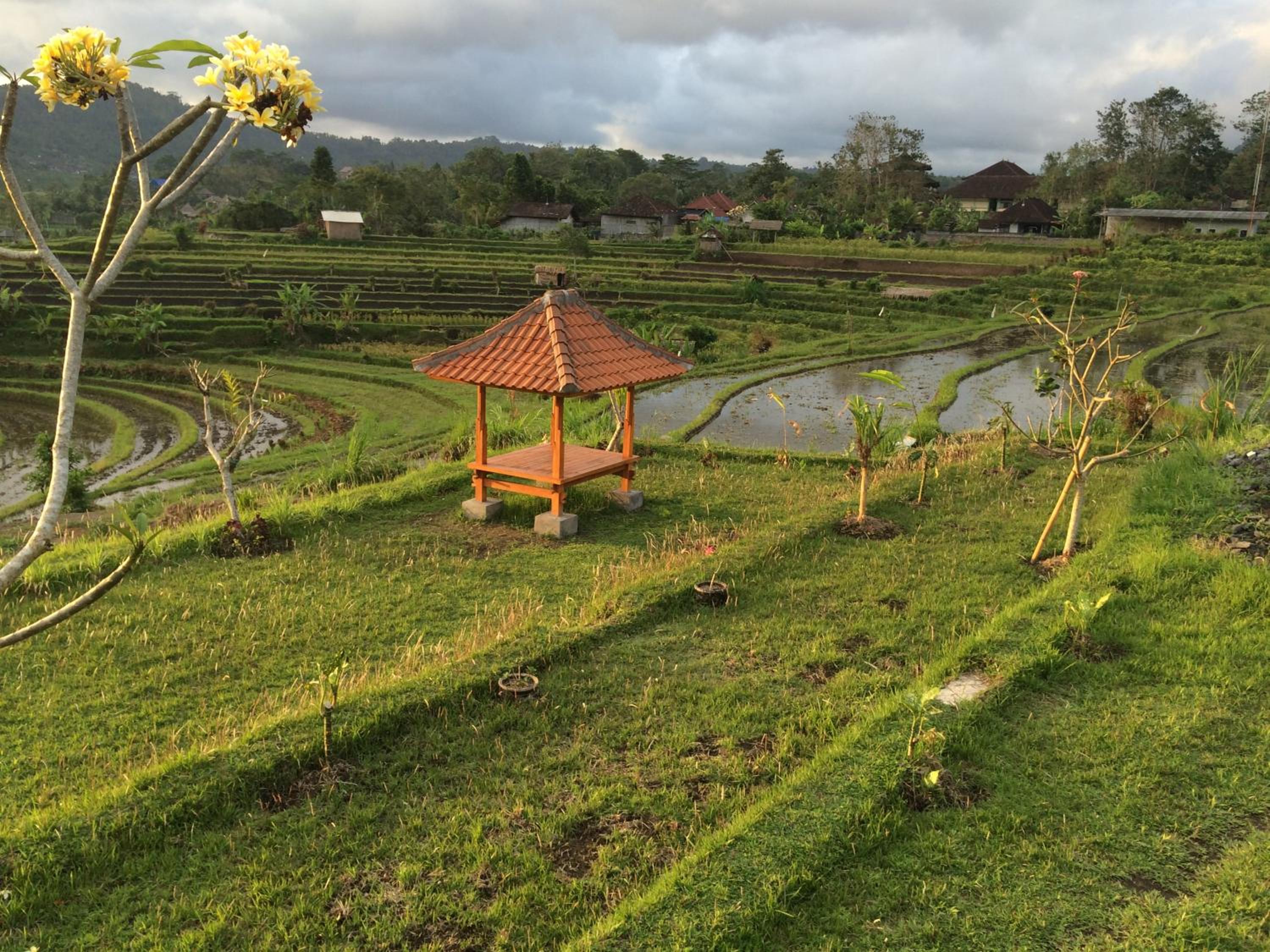 Bungalow with Garden View - Photo 107
