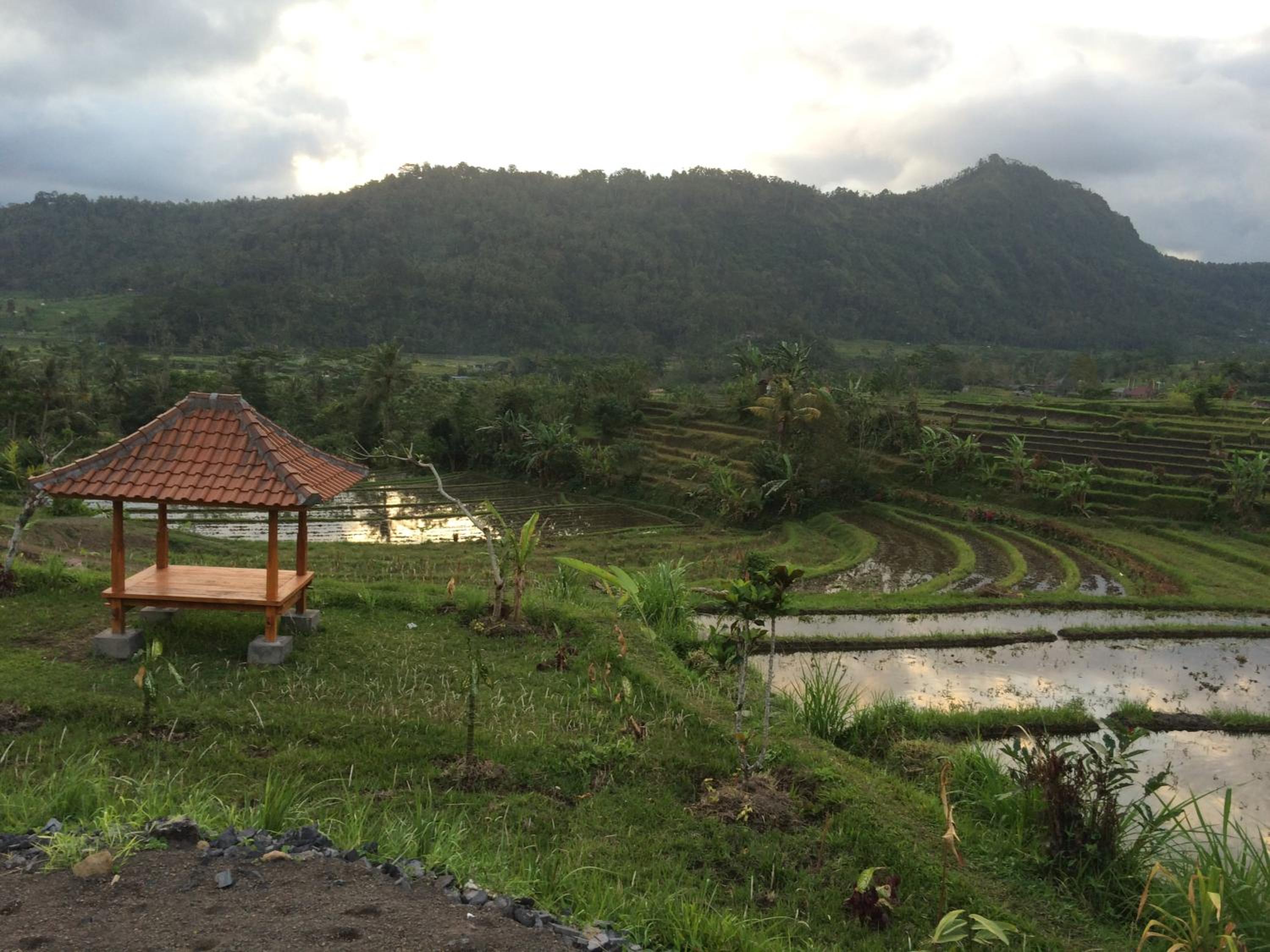Bungalow with Garden View - Photo 106