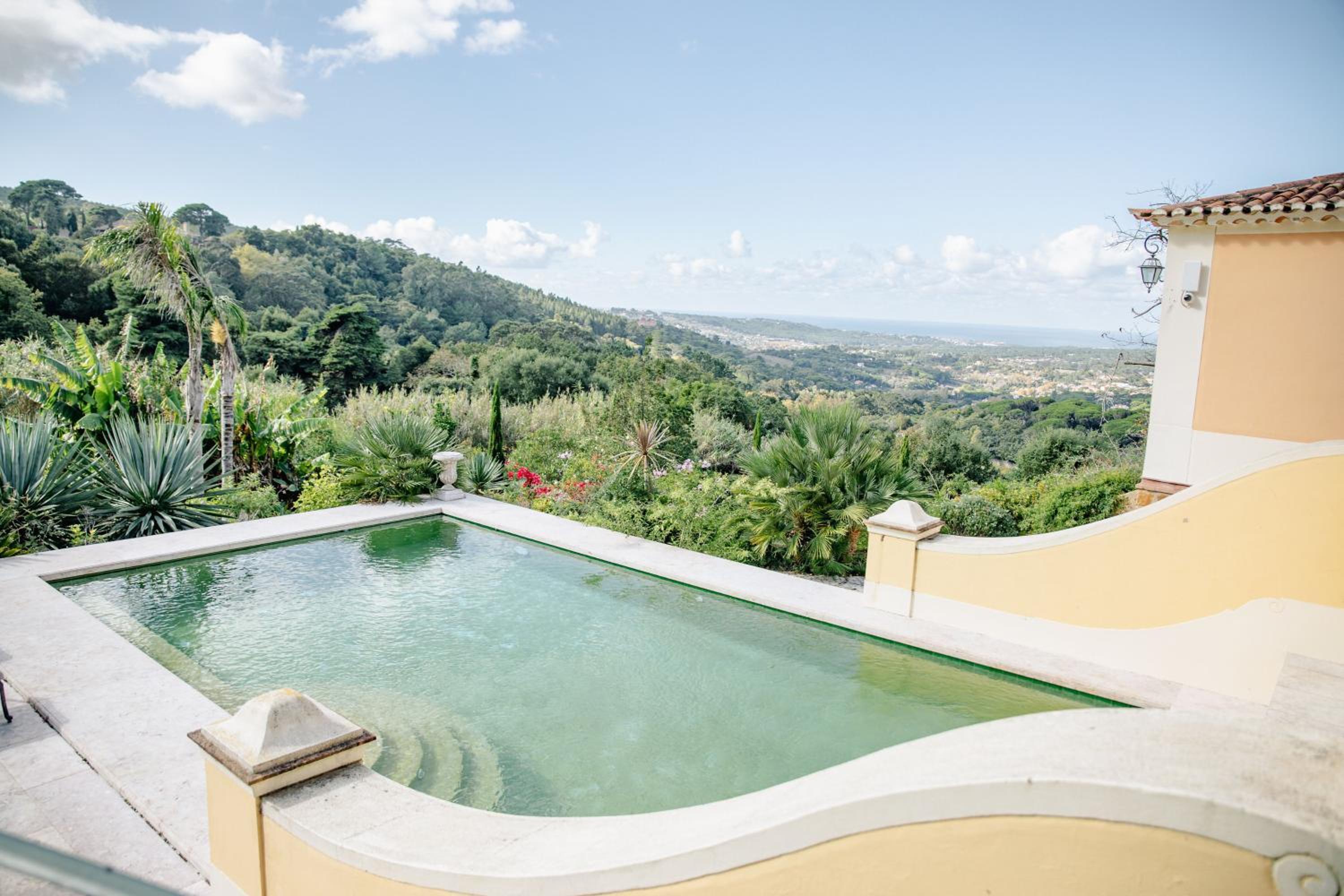 Double Room with Pool View photo 2