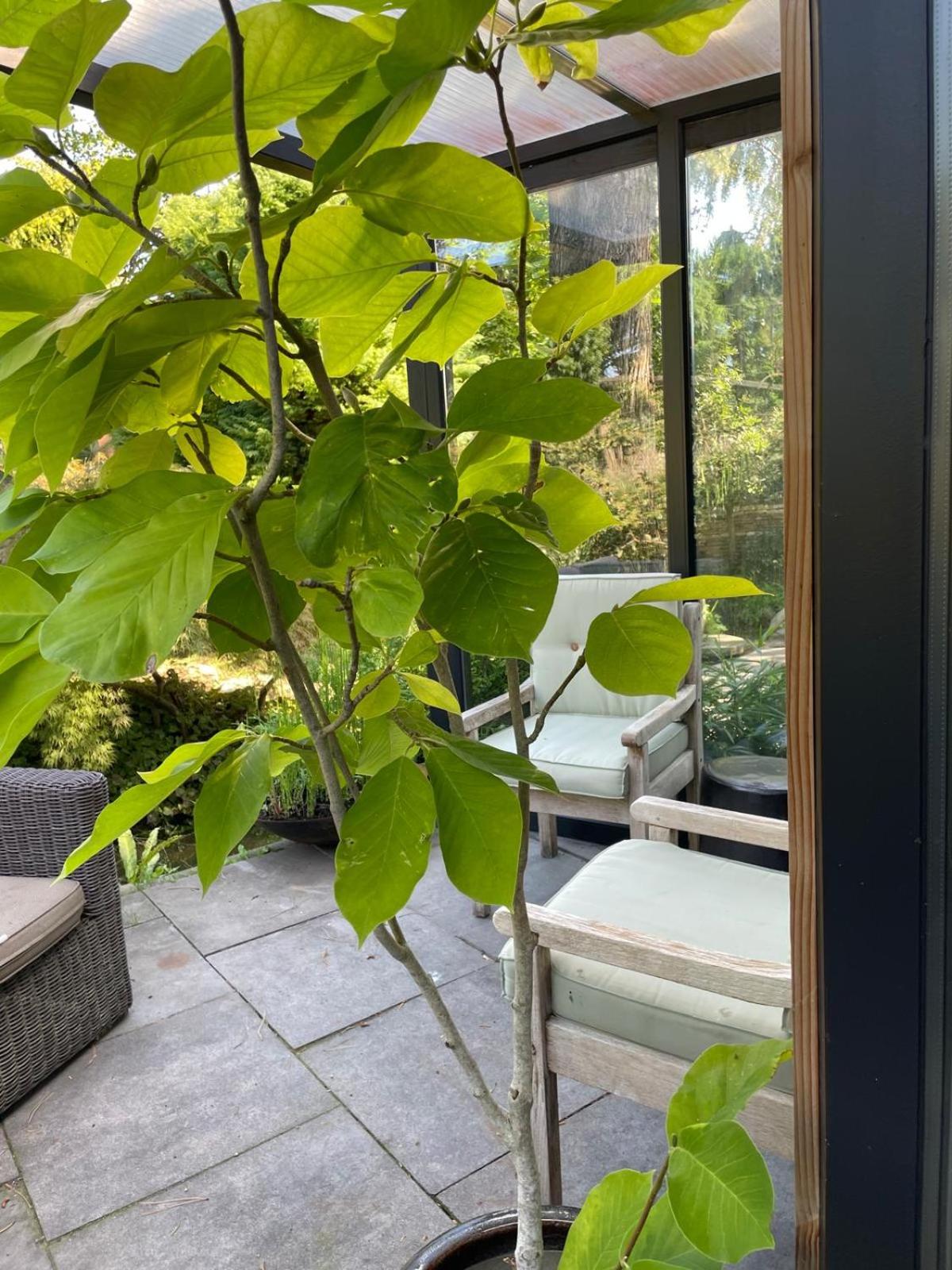 Apartment with Garden View photo 2