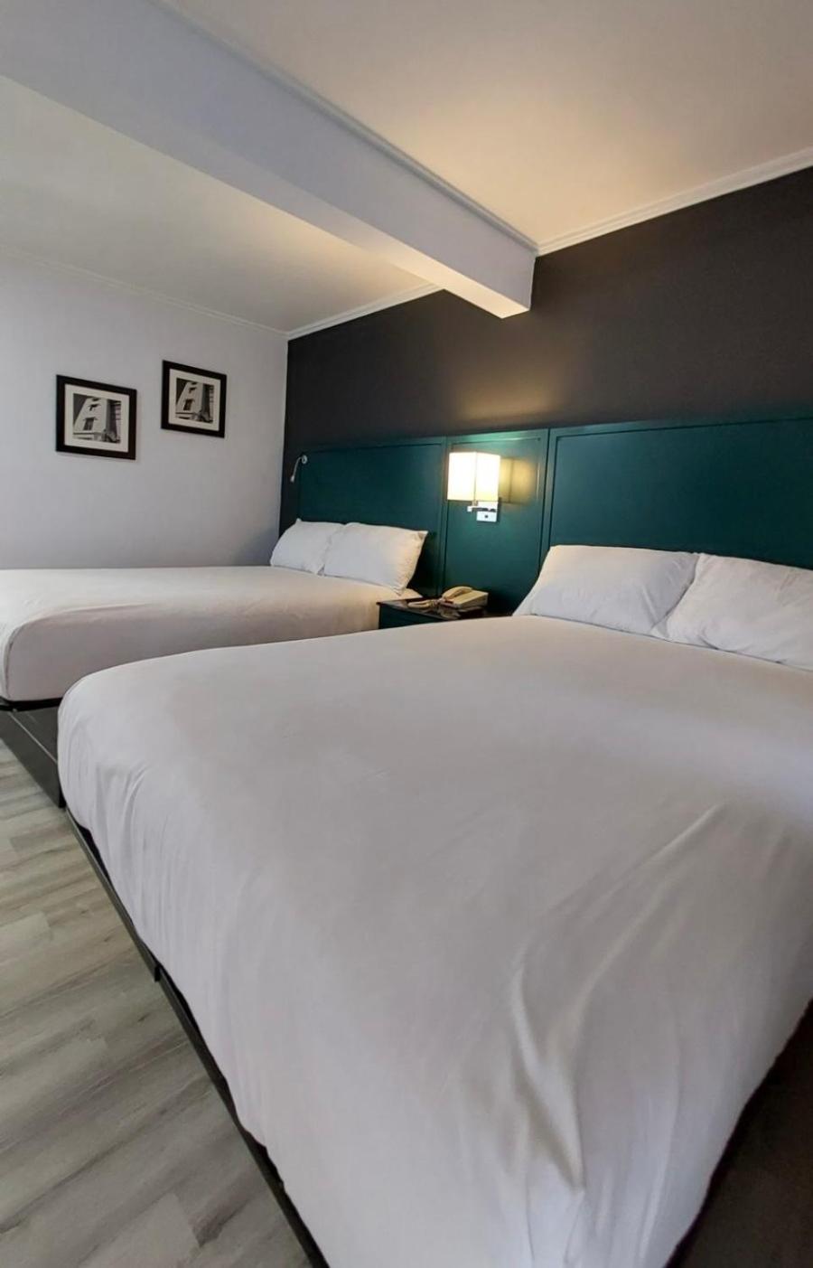 Double or Twin Room photo 1