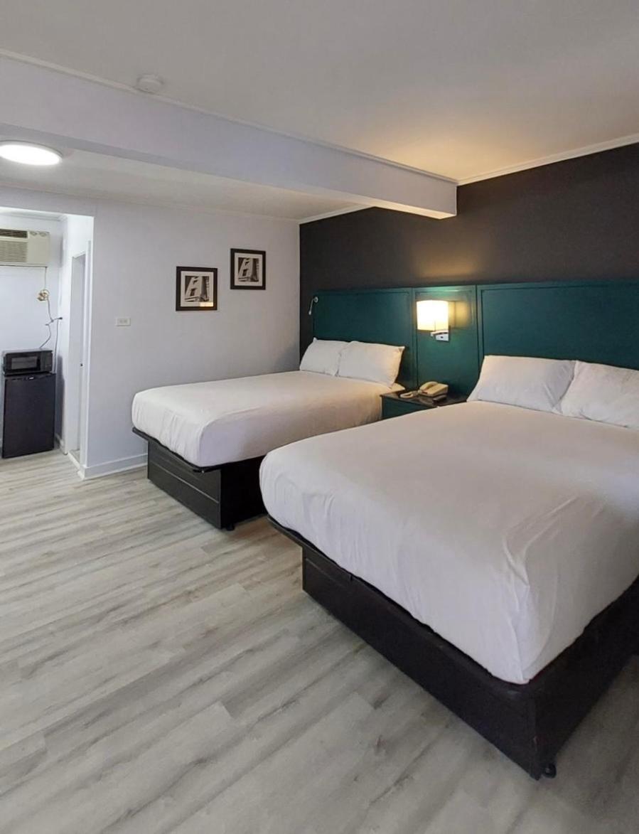 Double or Twin Room photo 3