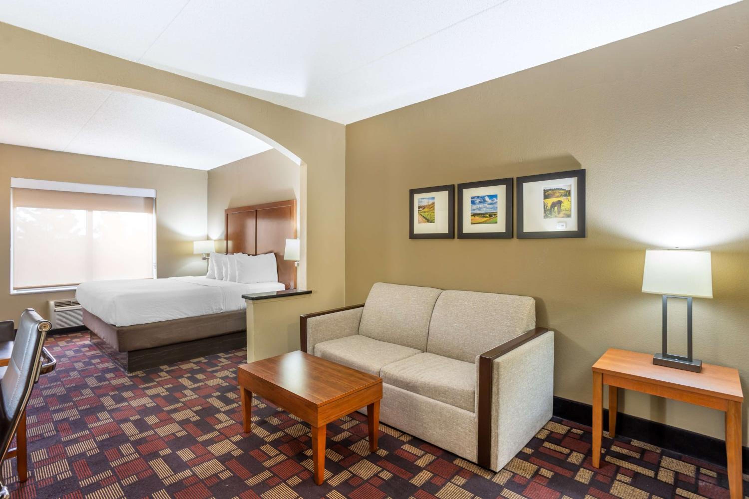 King Suite with Sofa Bed - Non-Smoking - Photo 2