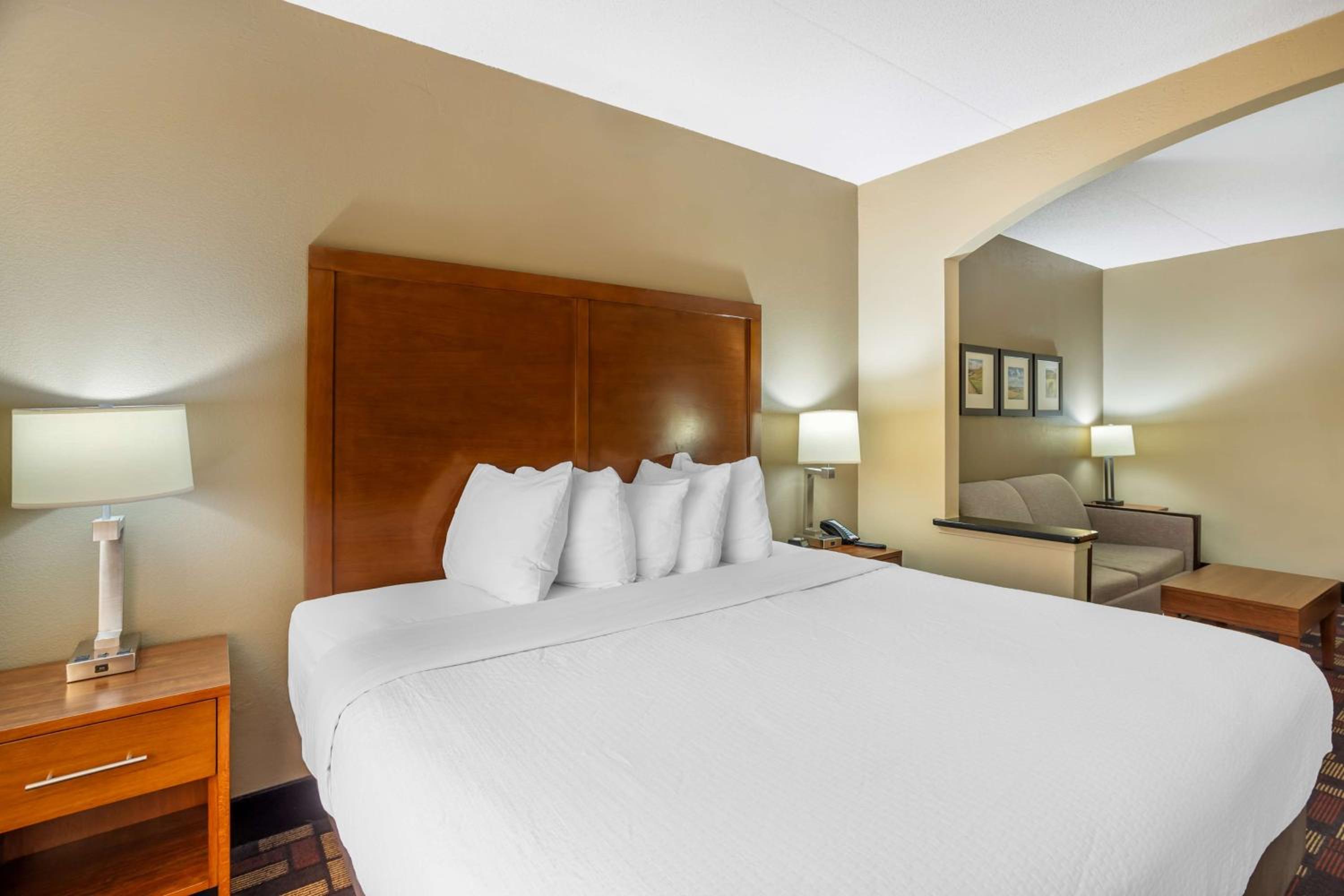 King Suite with Sofa Bed - Non-Smoking - Photo 4