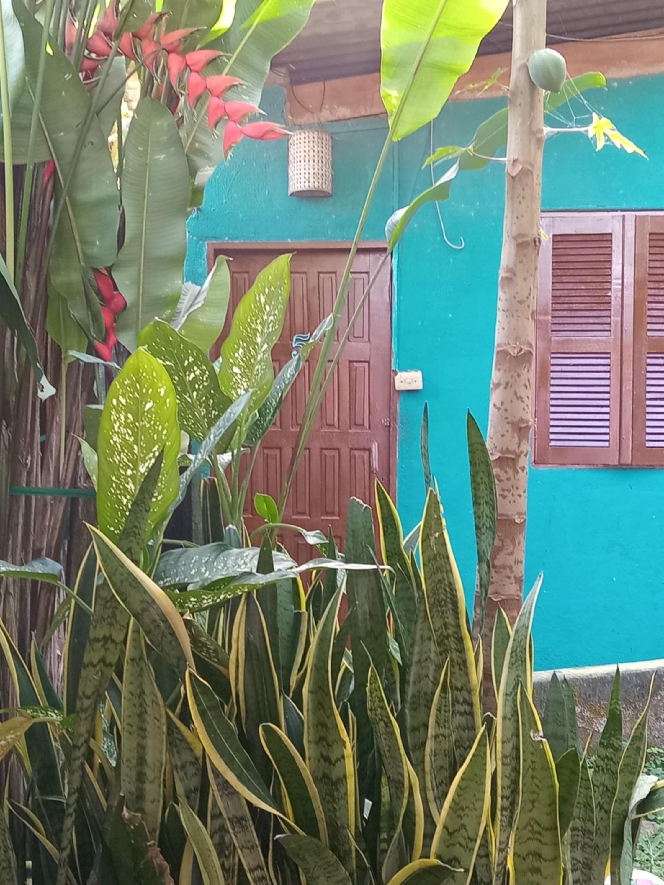 Double Room with Private Bathroom photo 2