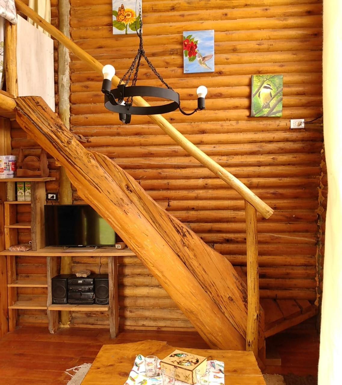 One-Bedroom House photo 2