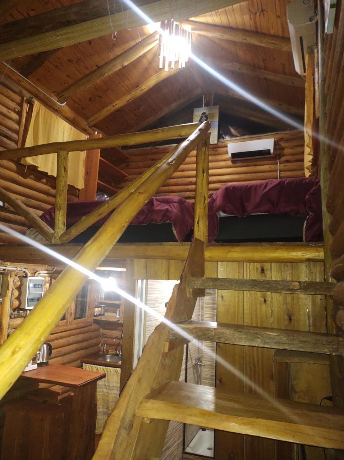 One-Bedroom House photo 3
