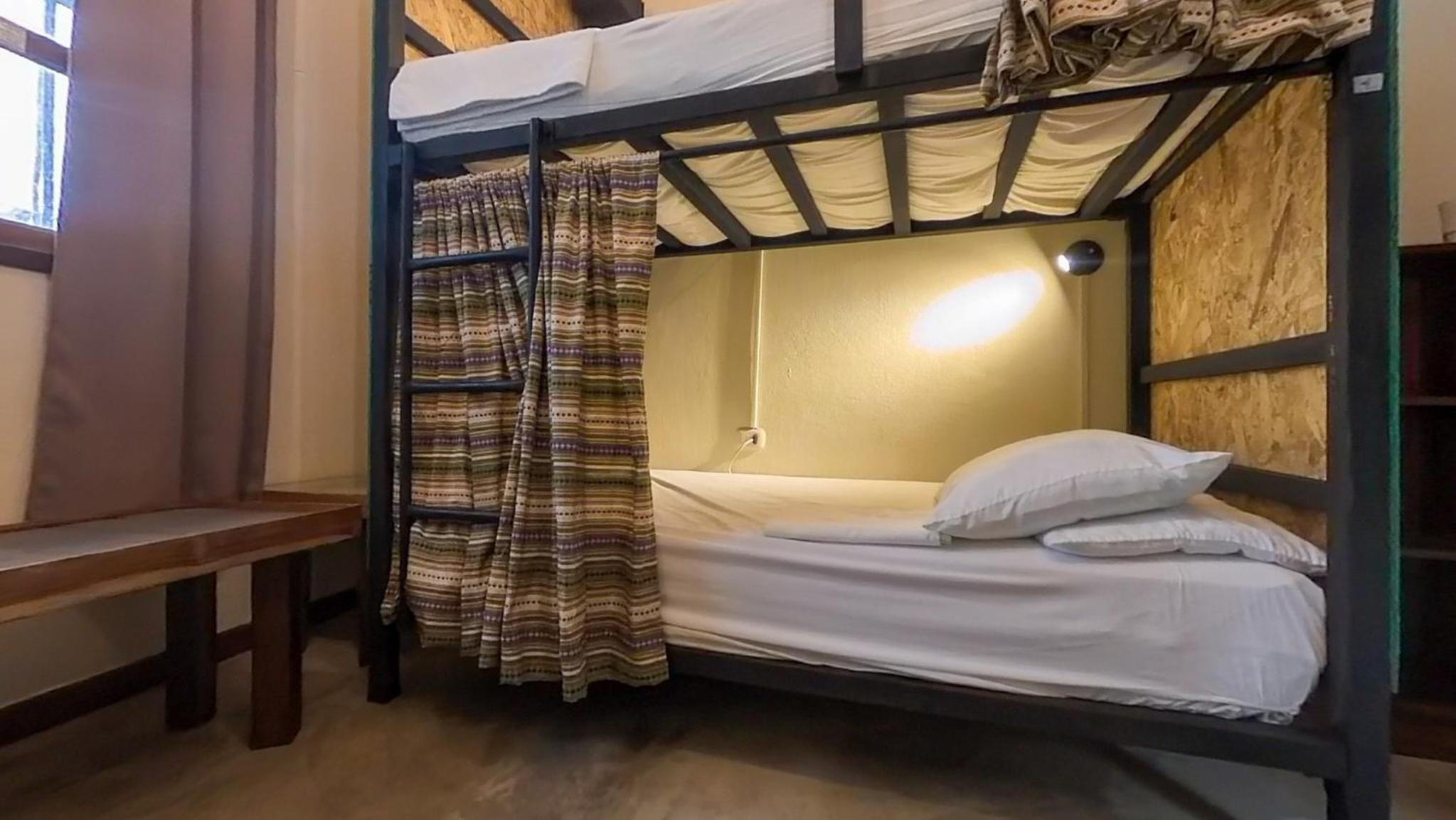 Single Bed in Mixed Dormitory Room photo 1