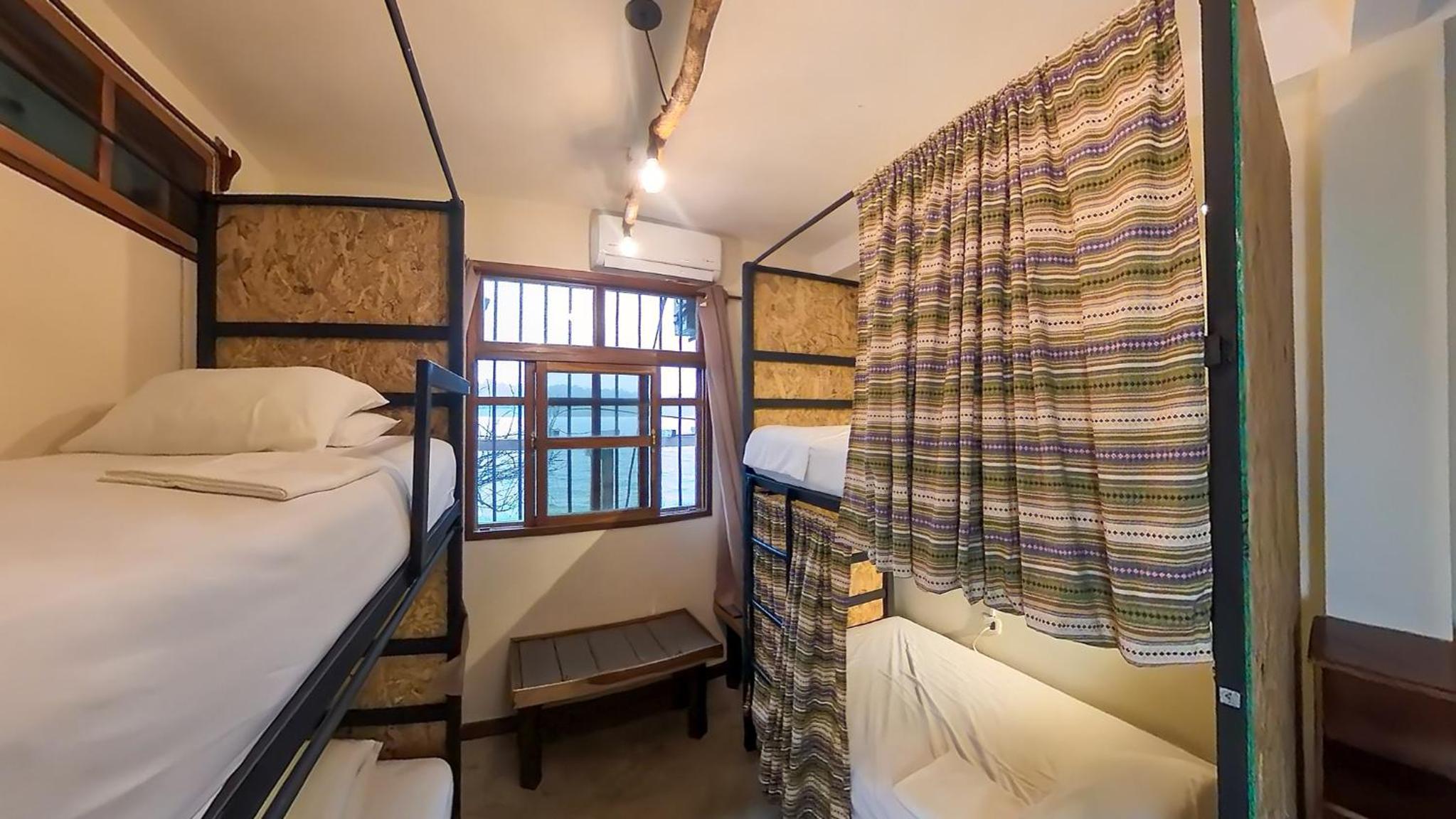 Bunk Bed in Mixed Dormitory Room photo 1