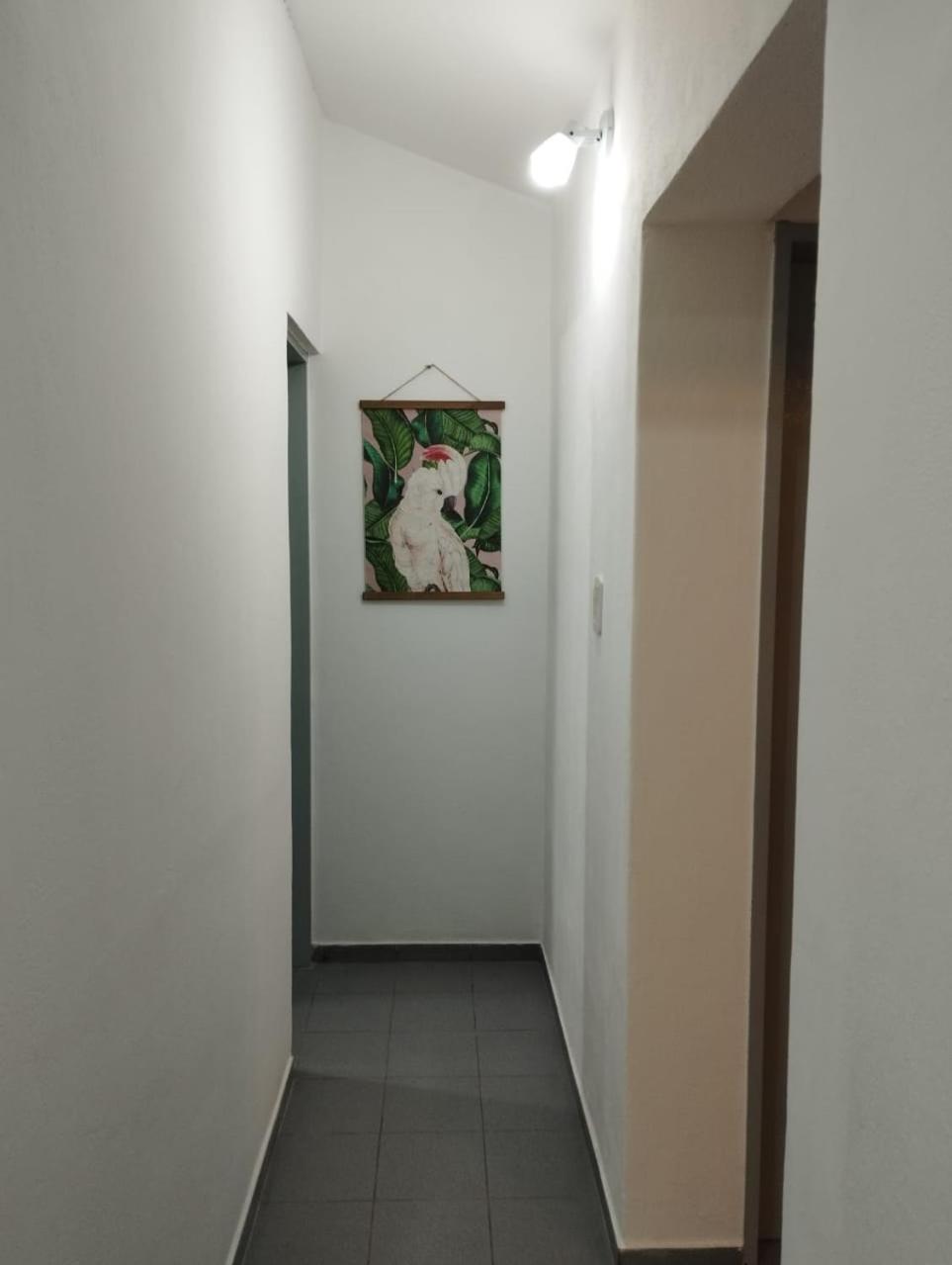 One-Bedroom House photo 3