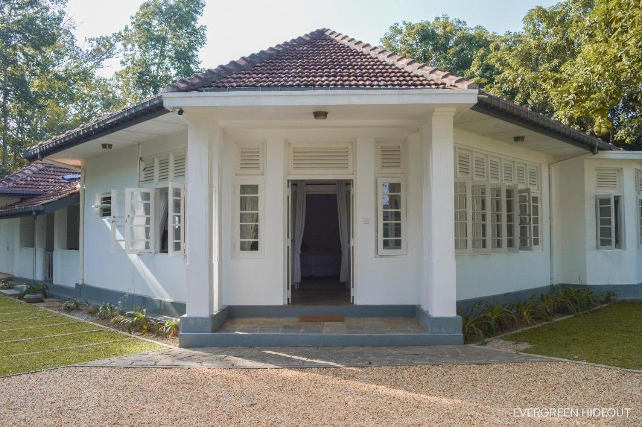 Five-Bedroom House photo 3