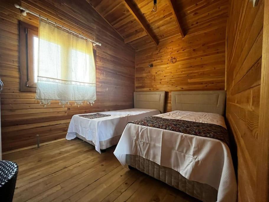Three-Bedroom Villa photo 1