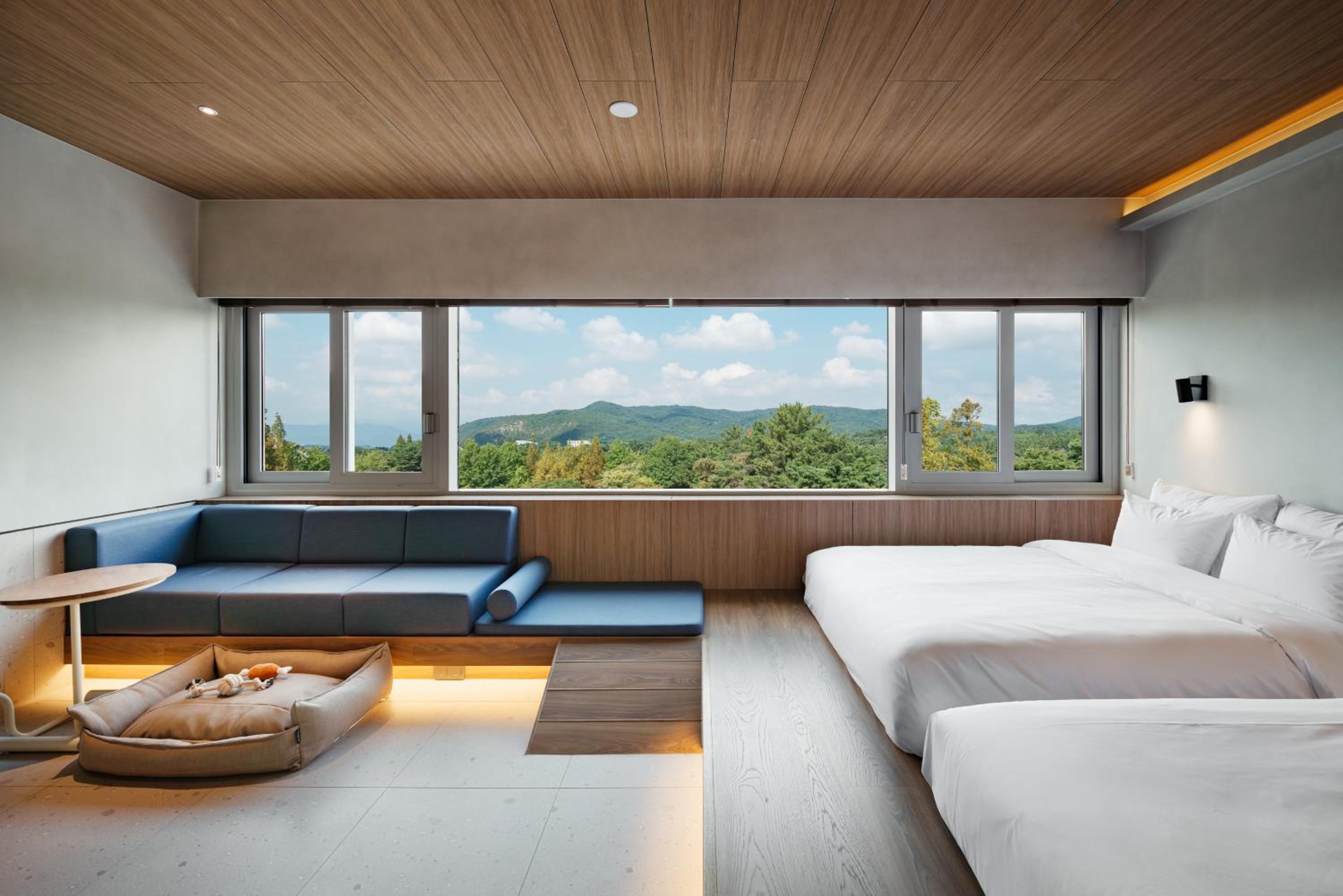 KINOCK PKG - KINOCK SUITE (Good morning service for 2 + Pet Park 1 day Pass)  - Photo 29