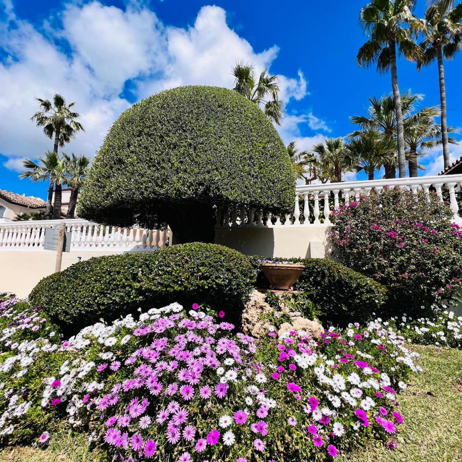 Suite con vista al jardín