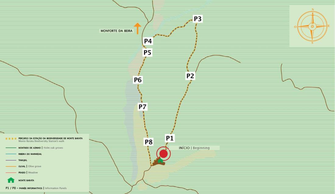 Monte Barata WildLife Tourism, Billede 6