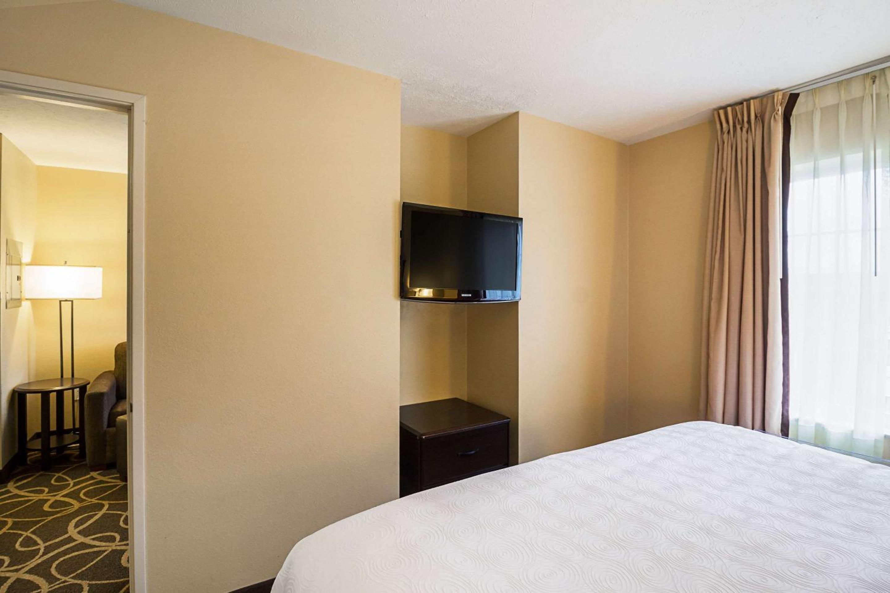 One-Bedroom King Suite with Sofa Bed - Non-Smoking - Photo 4