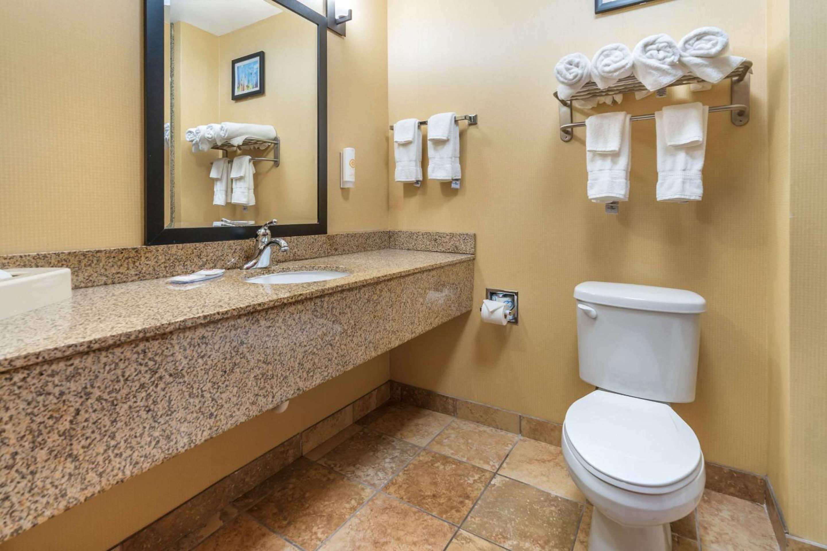 King Suite - Non-Smoking - Photo 4