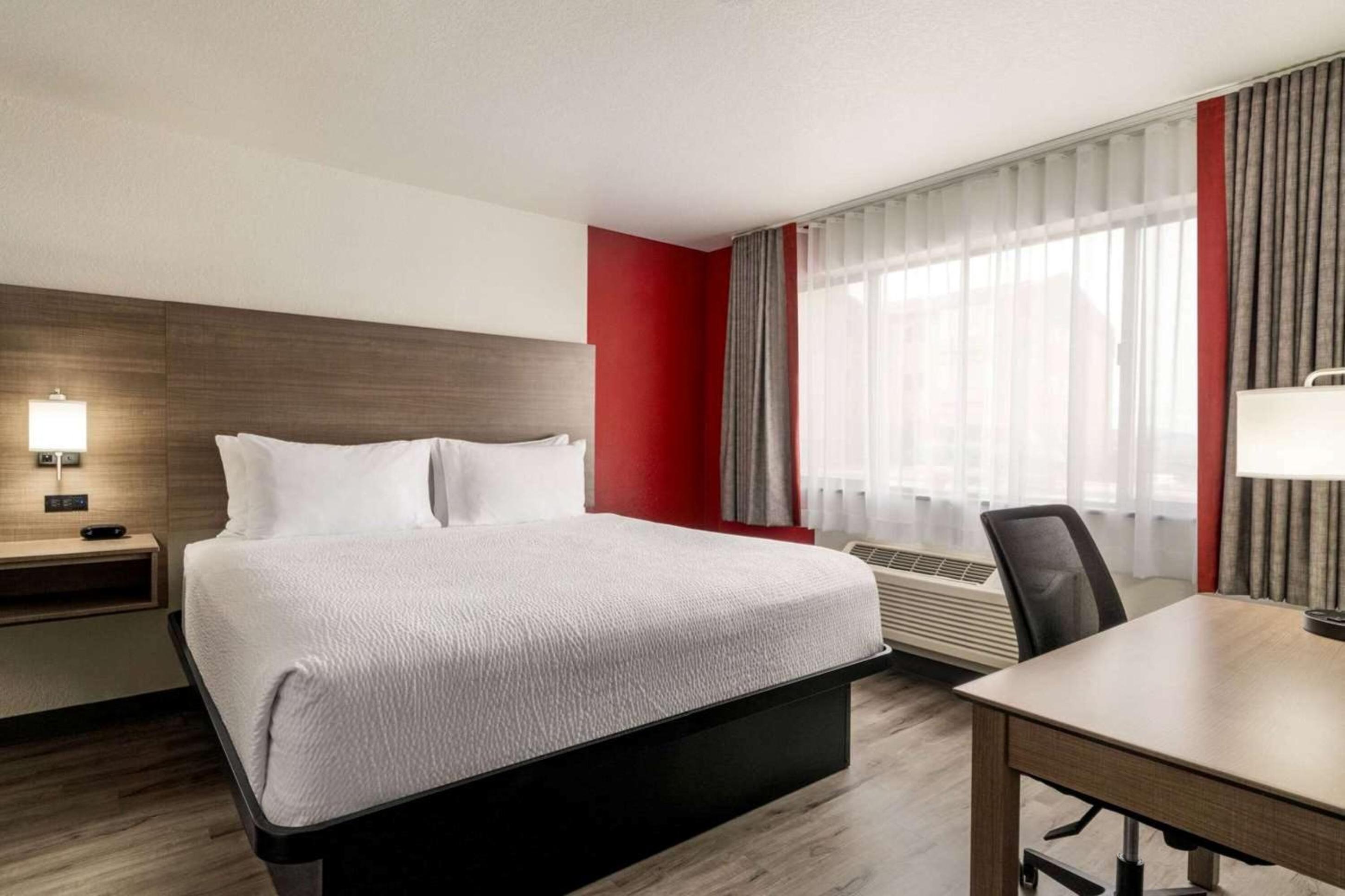 King Suite with One King Bed - Separate Building/Non-Smoking - Photo 1