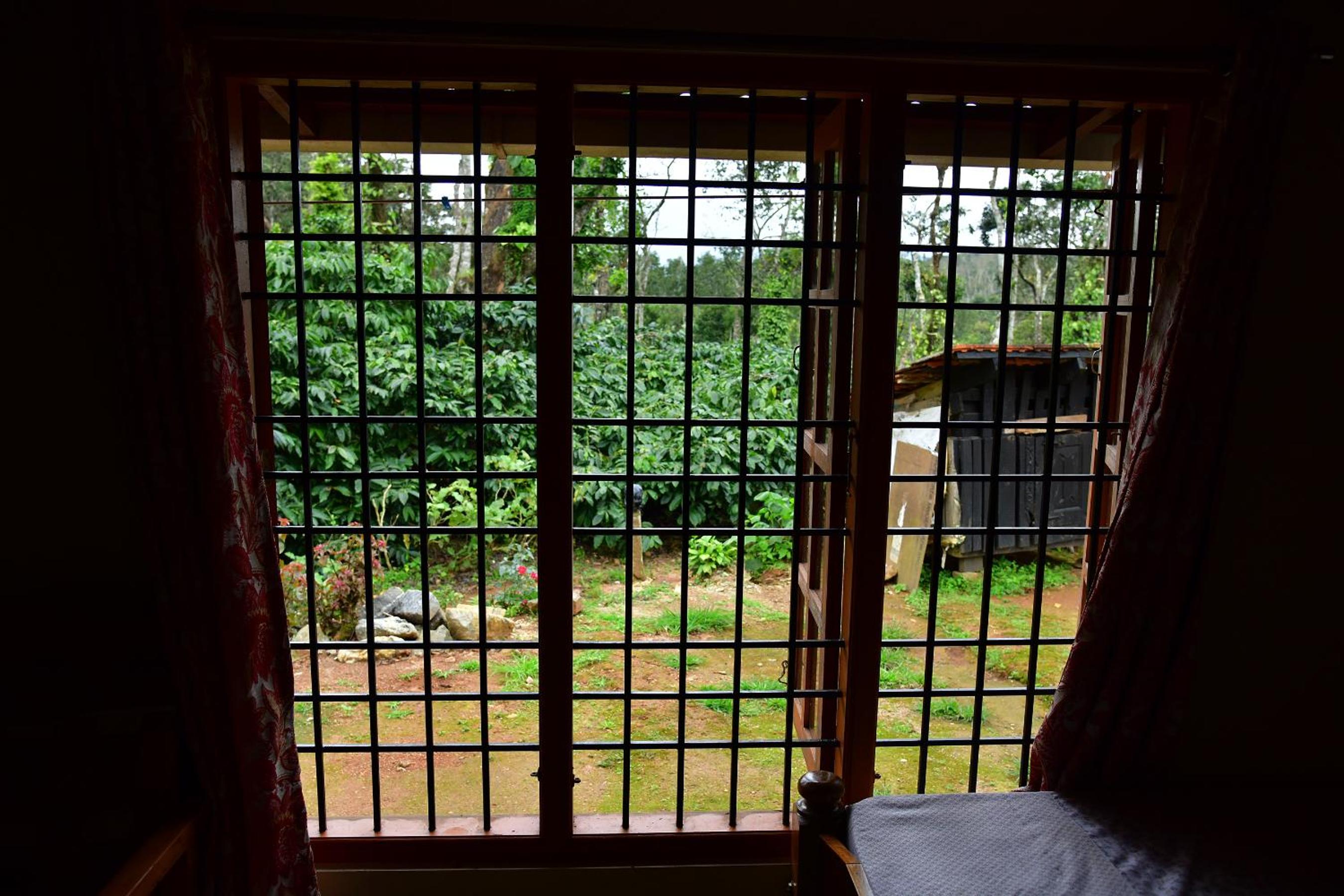 Basic Triple Room
