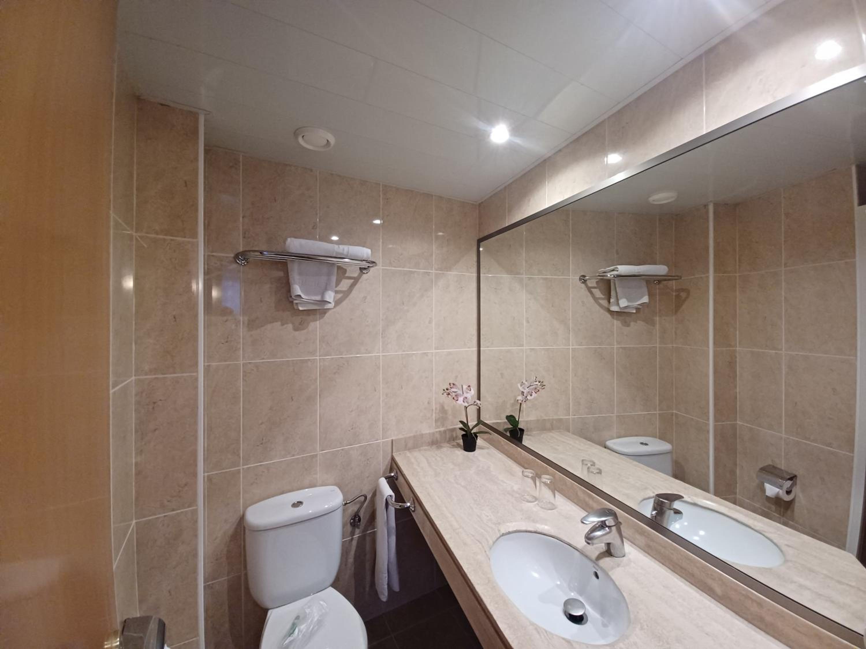 Single Room photo 2