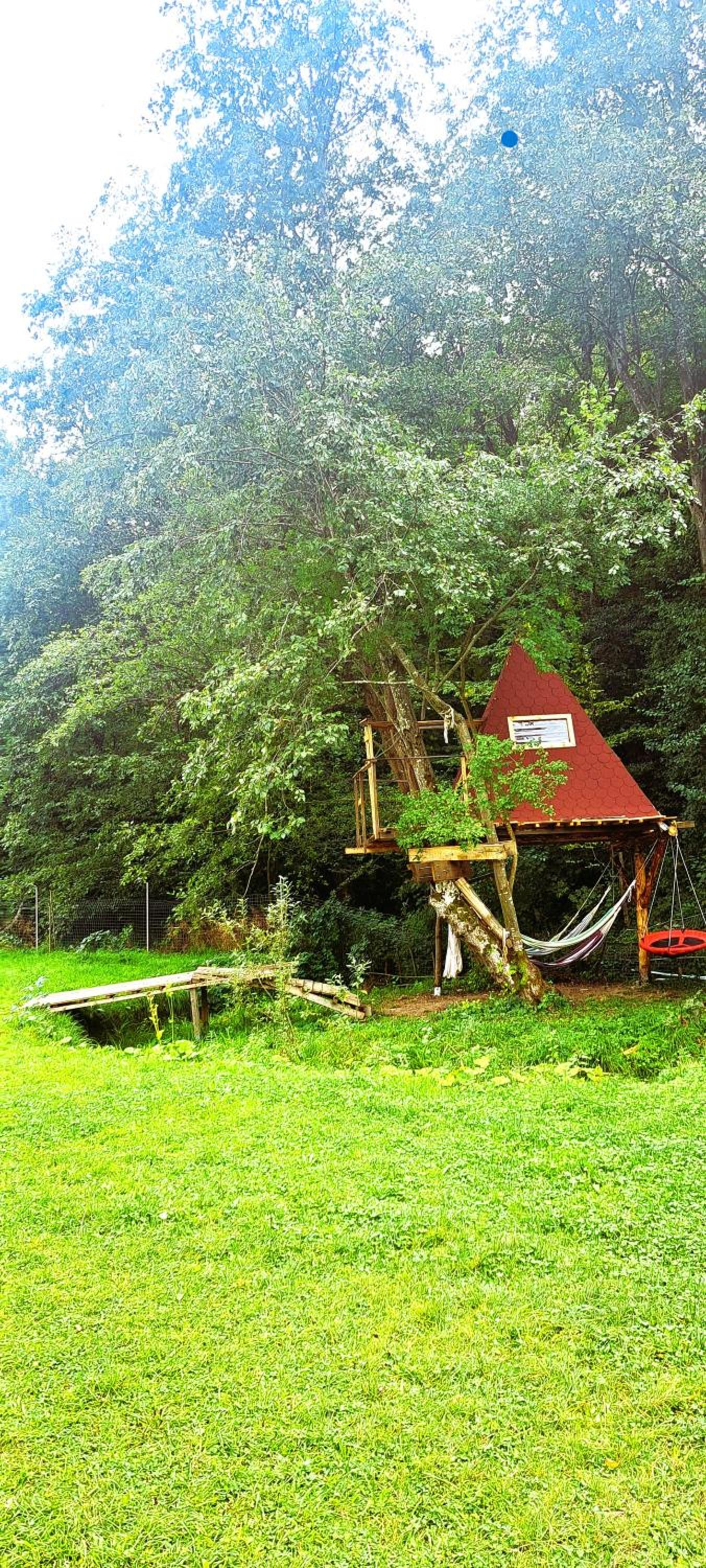 Tent - Photo 15