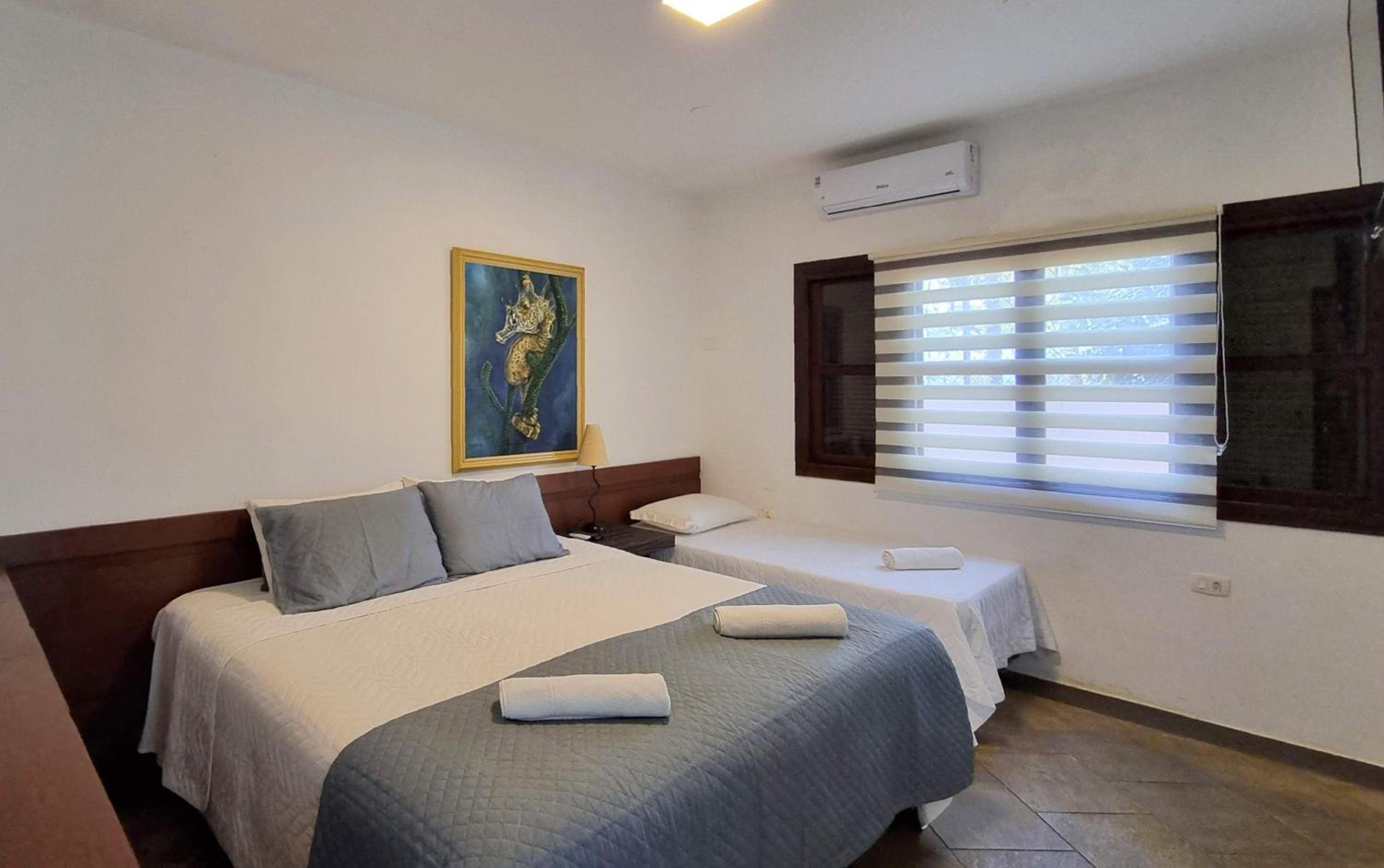 Deluxe King Suite