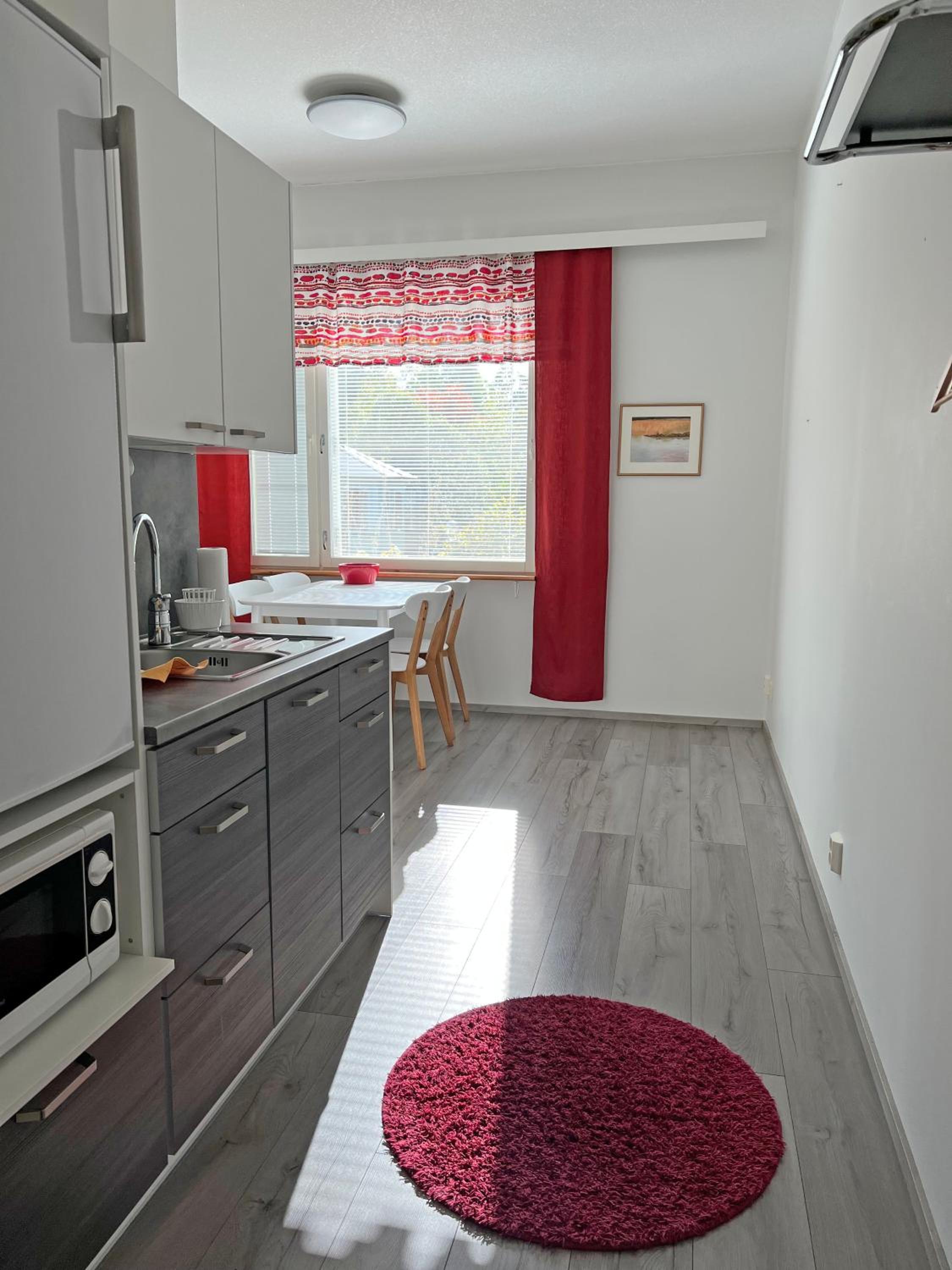 One-Bedroom Apartment photo 3