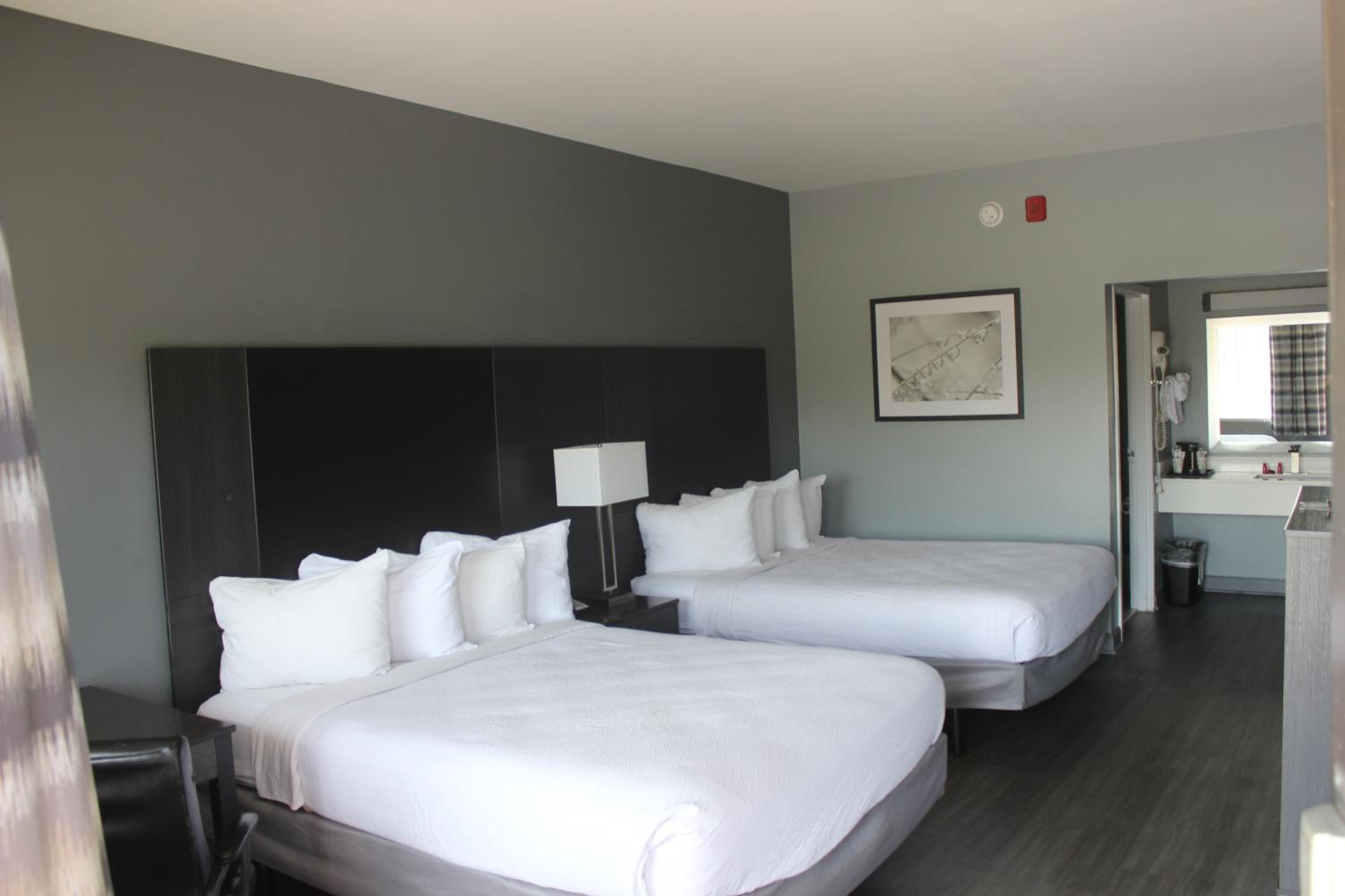 Queen Room - Disability Access photo 2