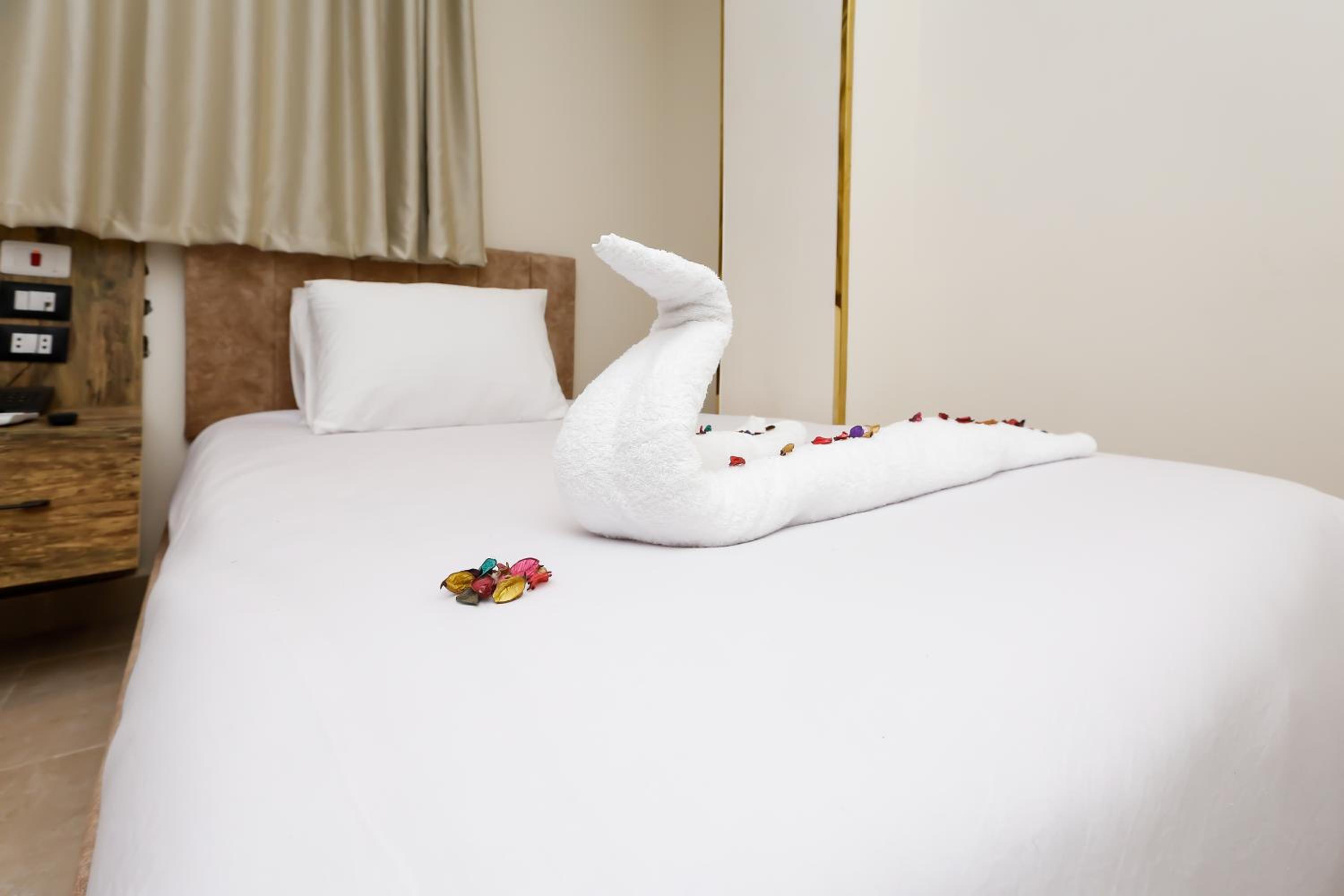 Superior Double or Twin Room with City View