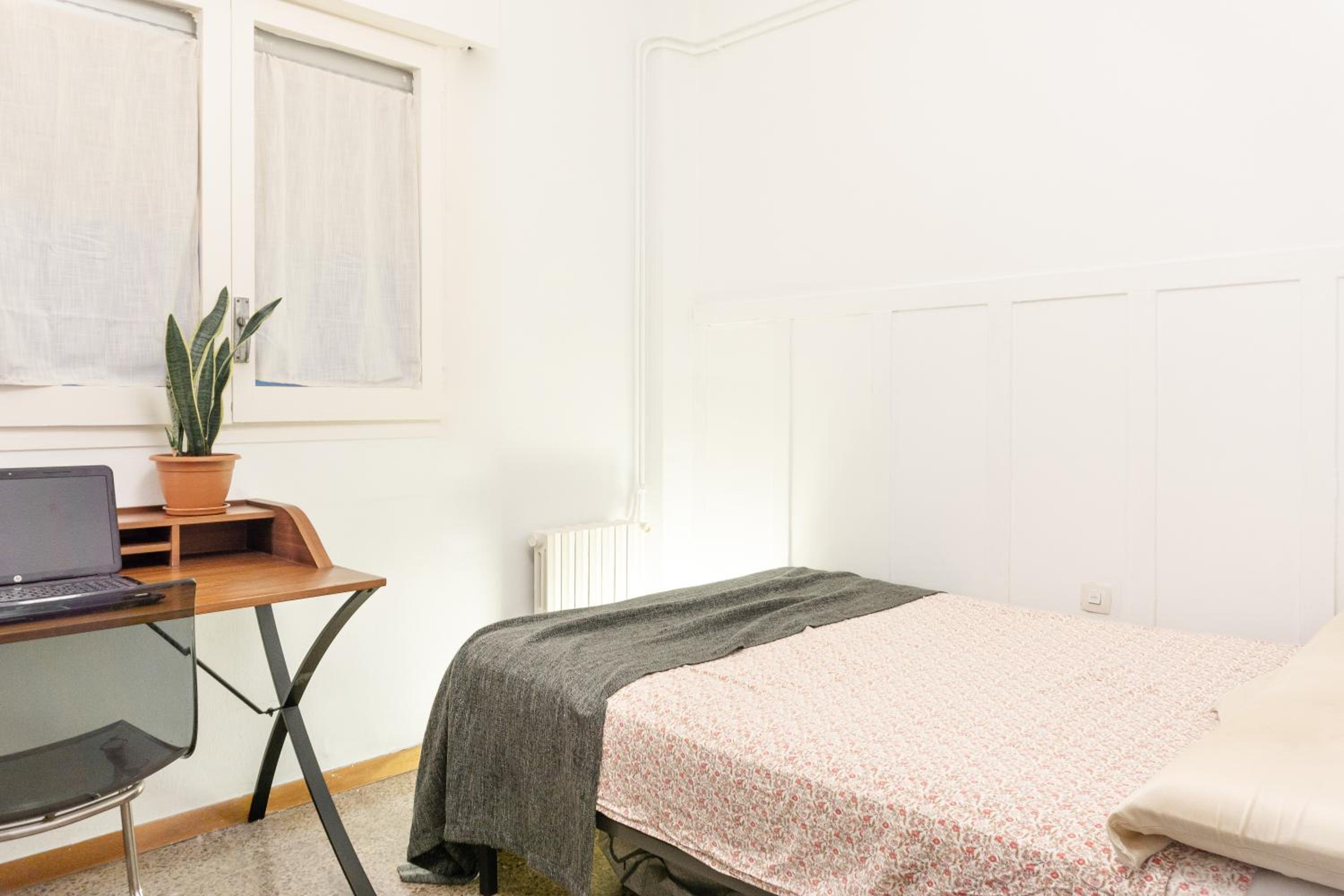 Budget Single Room photo 2