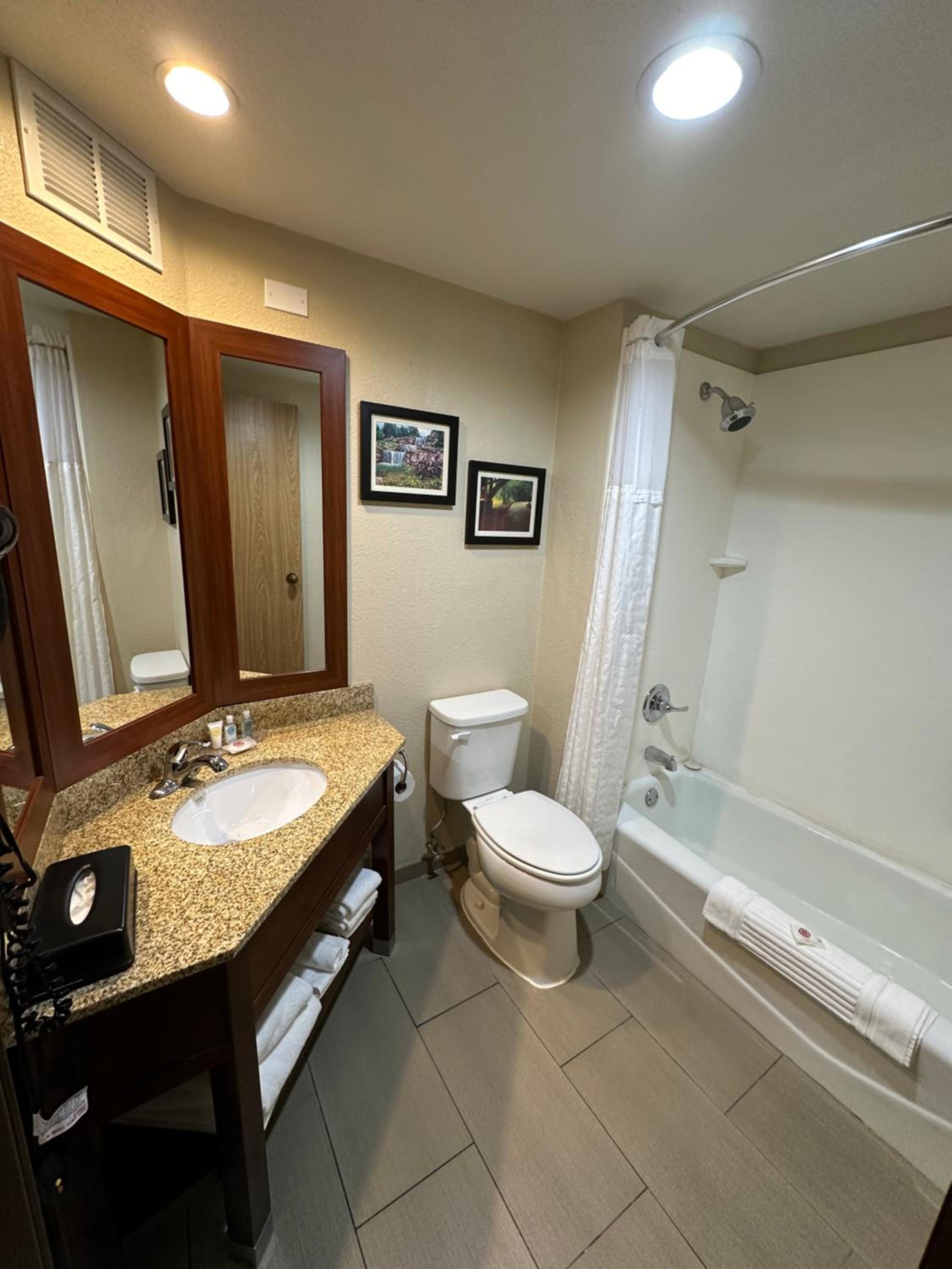 Deluxe King Room - Non-Smoking - Photo 6