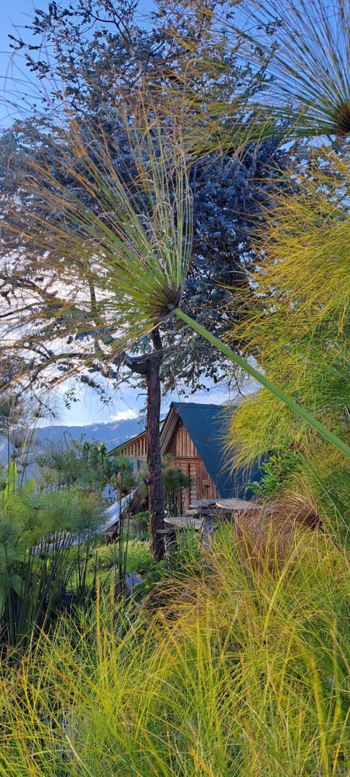Chalet photo 3