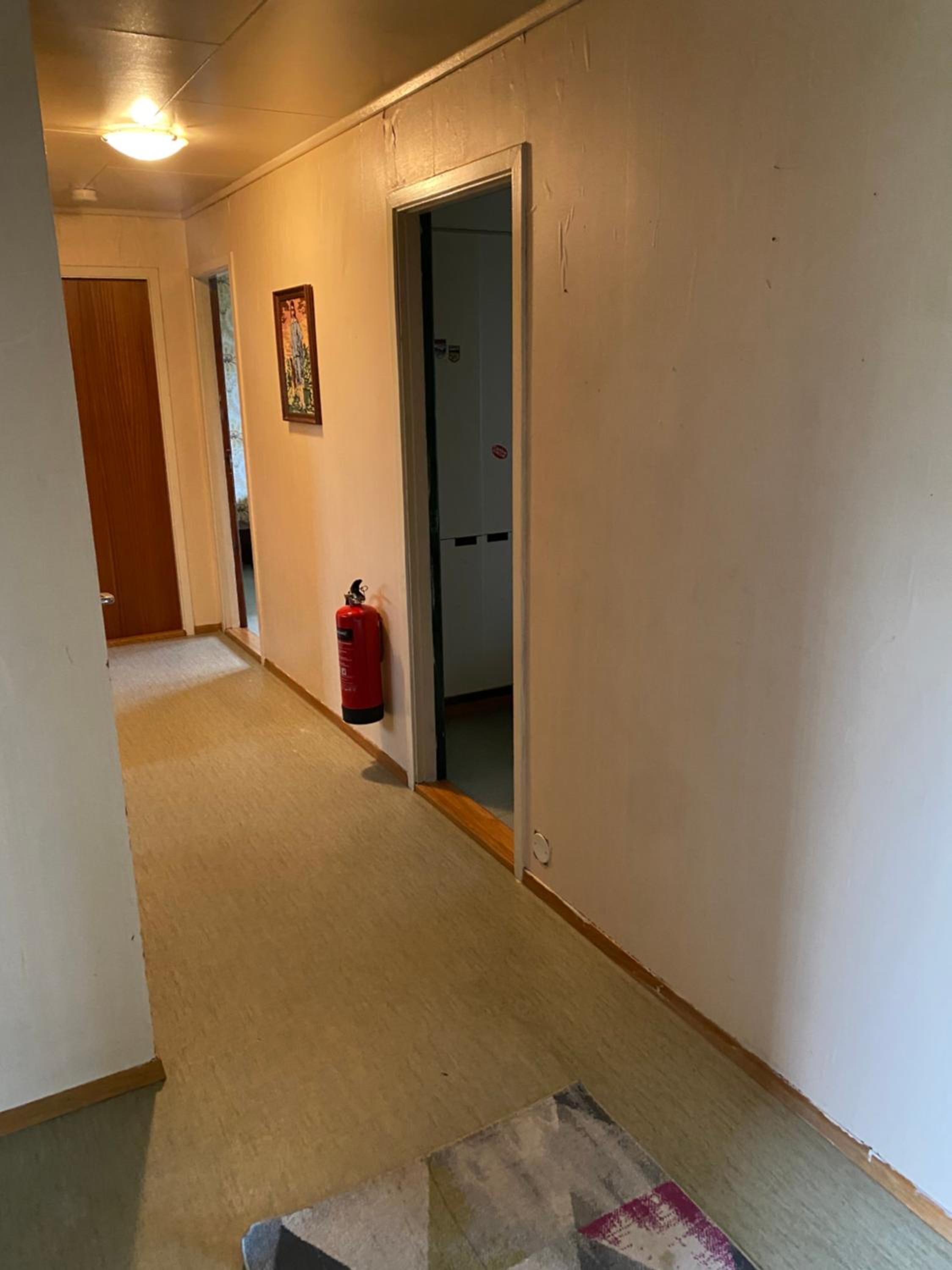 Three-Bedroom House photo 1
