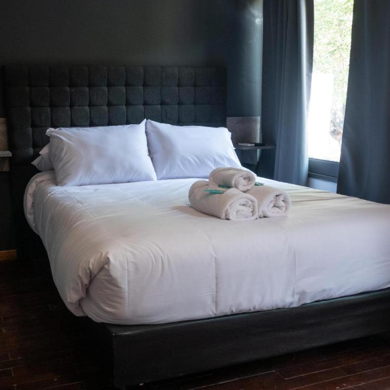 Standard Double Room photo 2