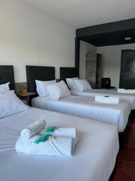 Standard Triple Room photo 1