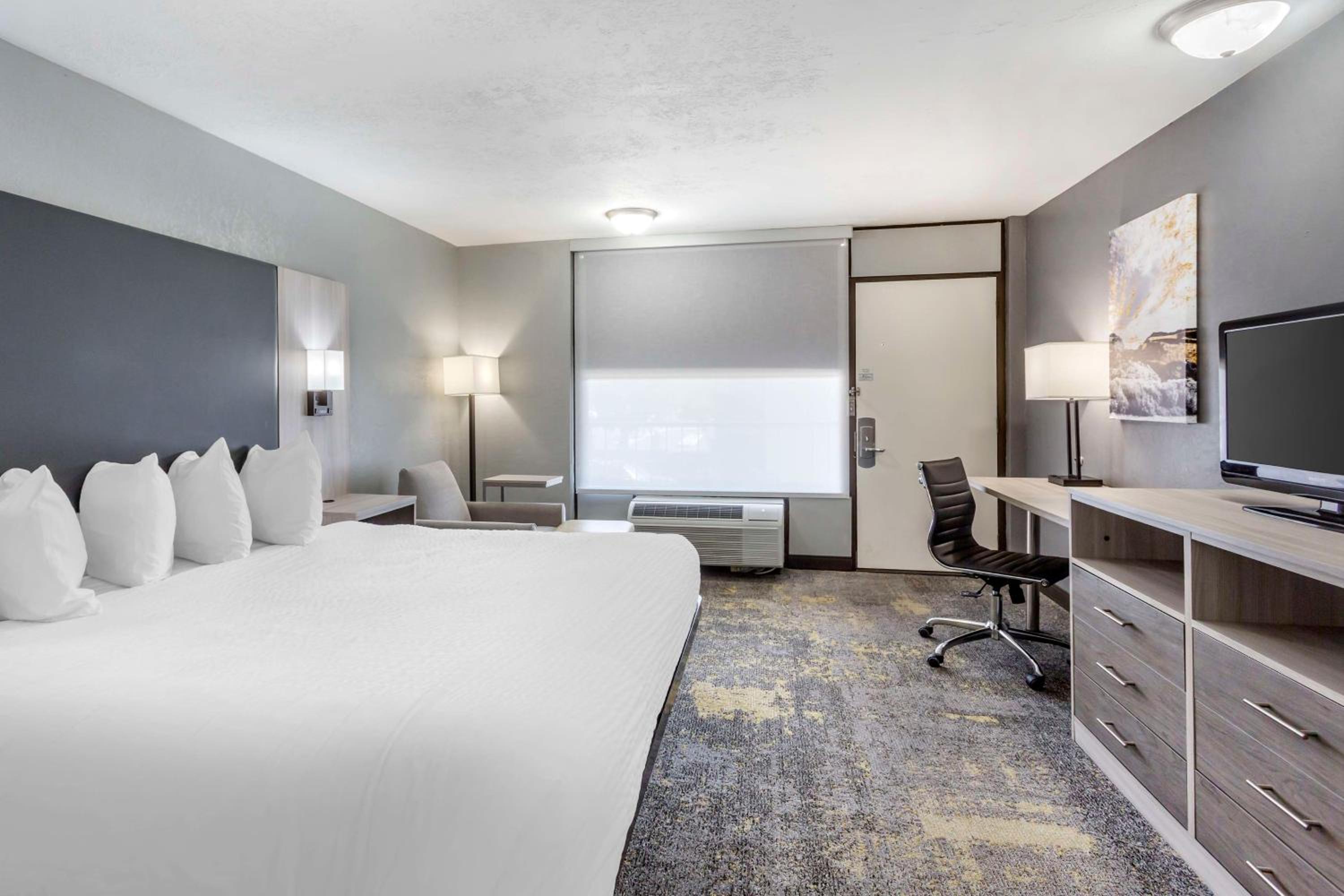 King Room - Pet Friendly photo 3