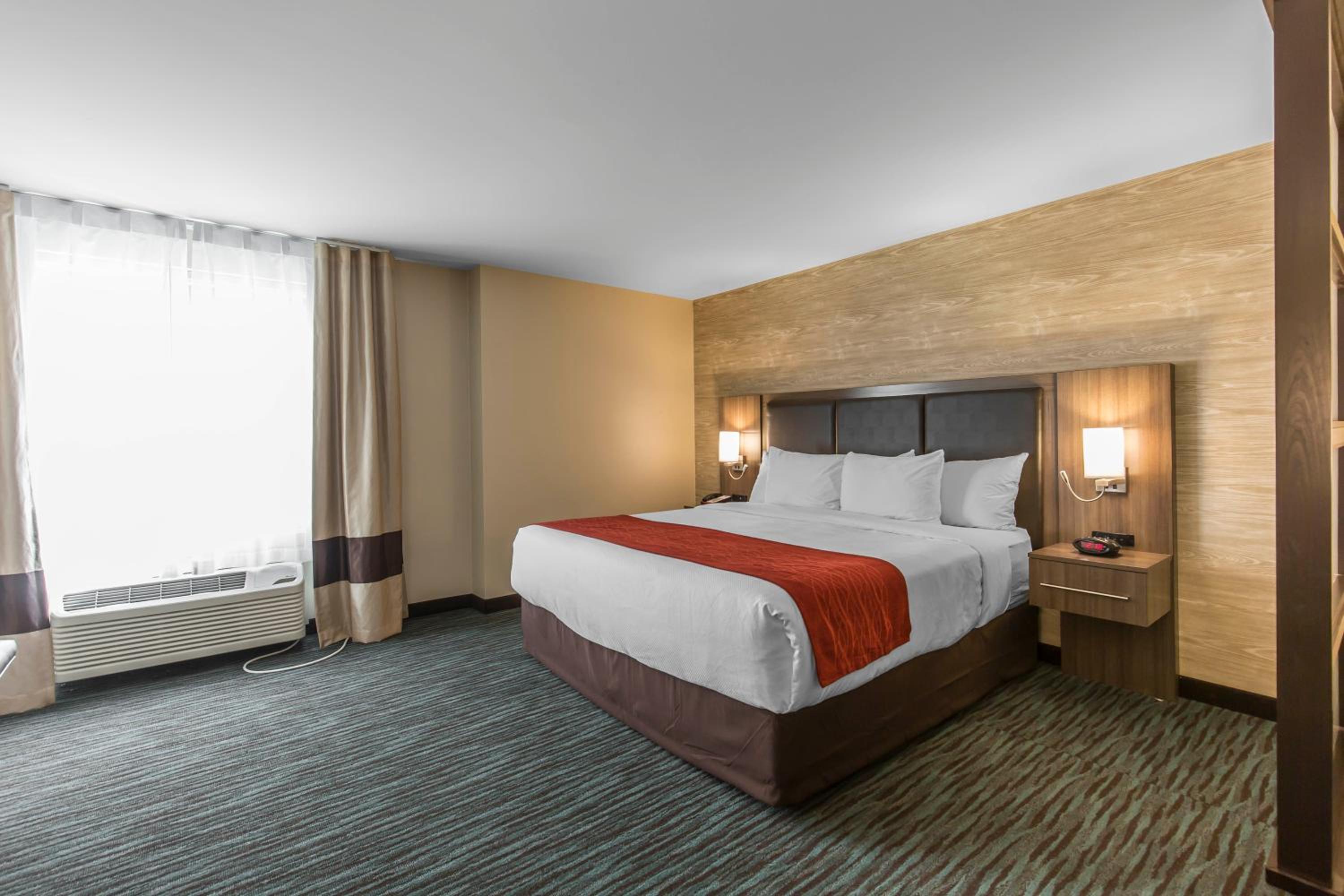 King Room photo 1