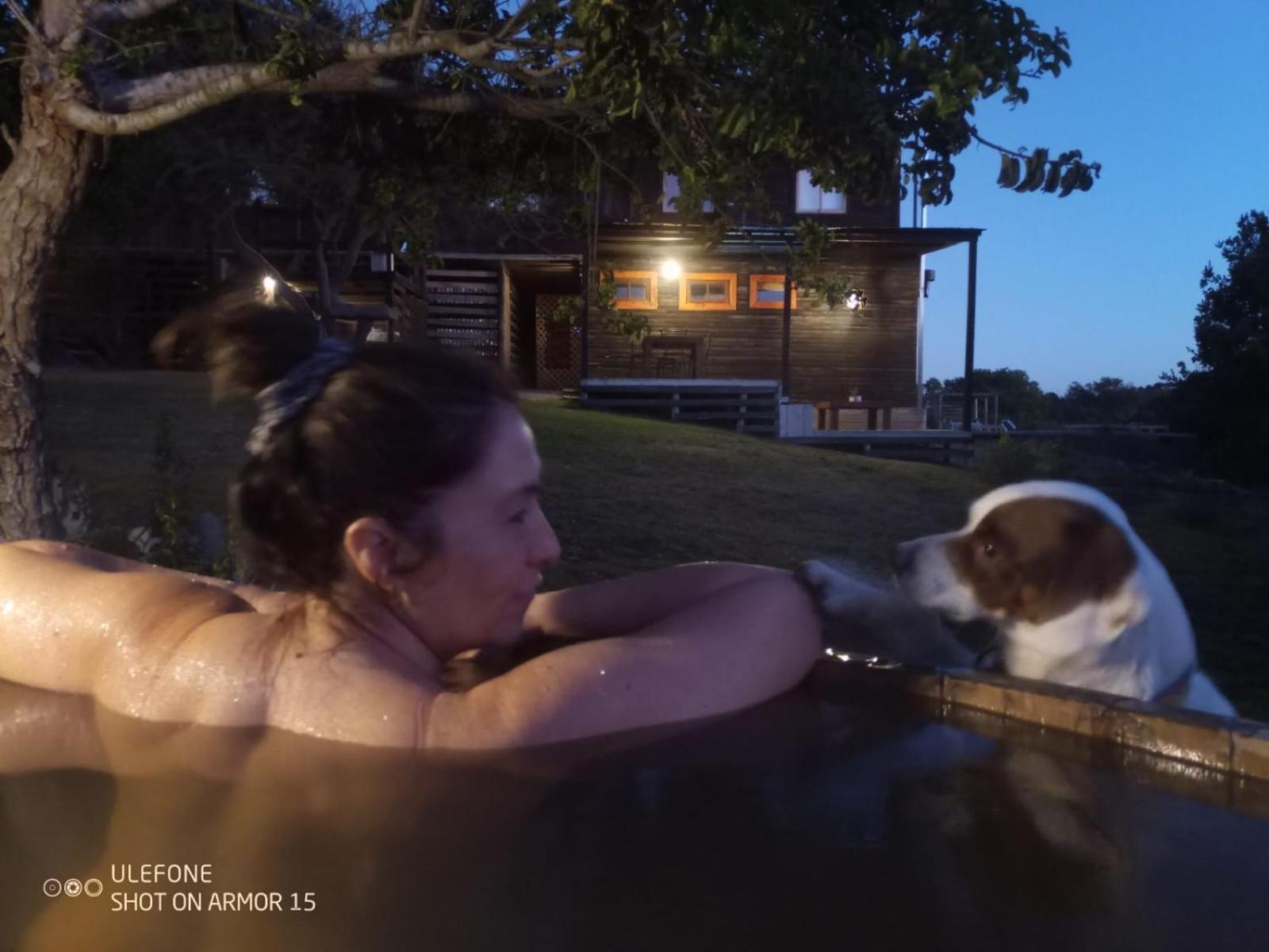 Three-Bedroom Apartment photo 2