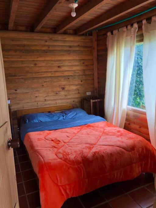 Chalet photo 1