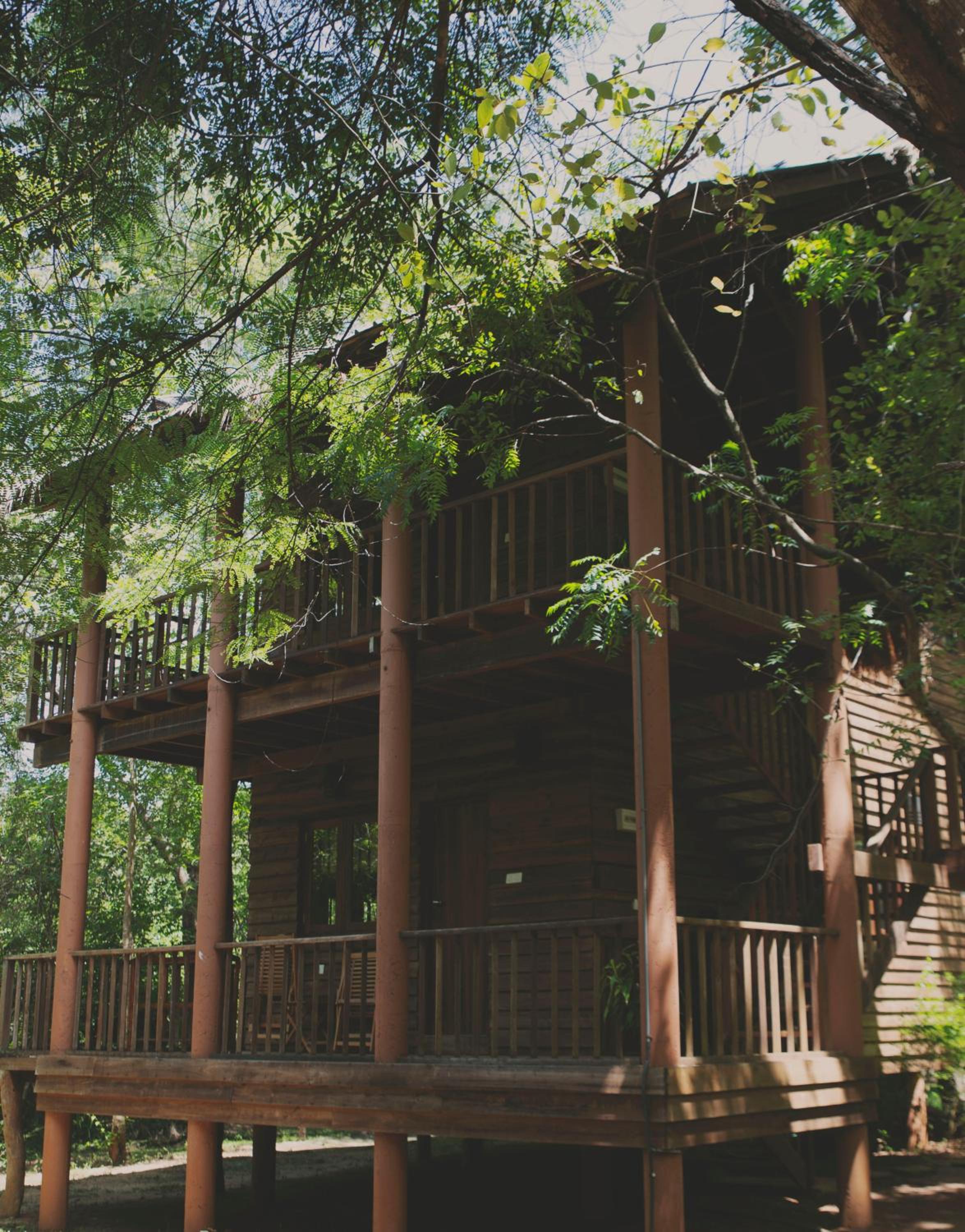 Tree Cottage photo 2