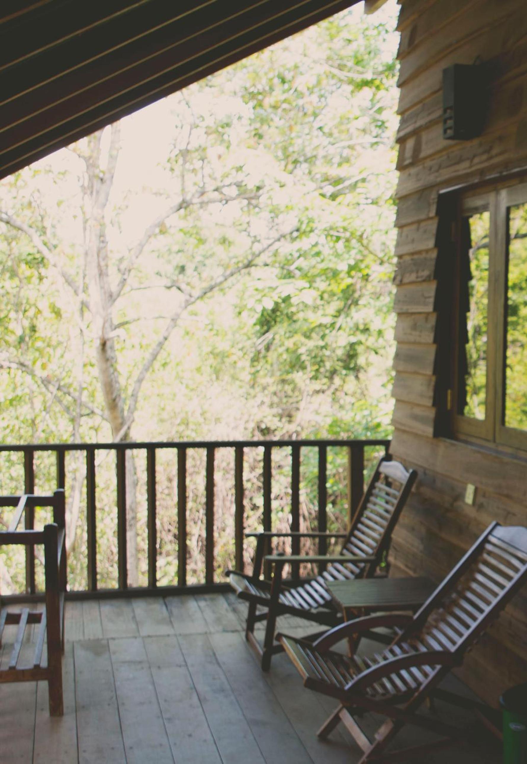 Tree Cottage photo 1