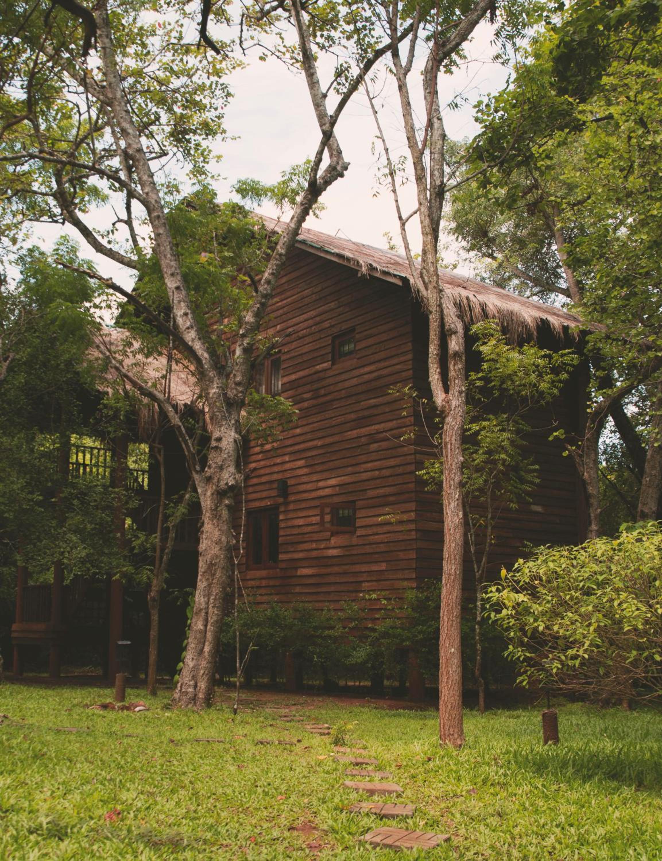Tree Cottage photo 3