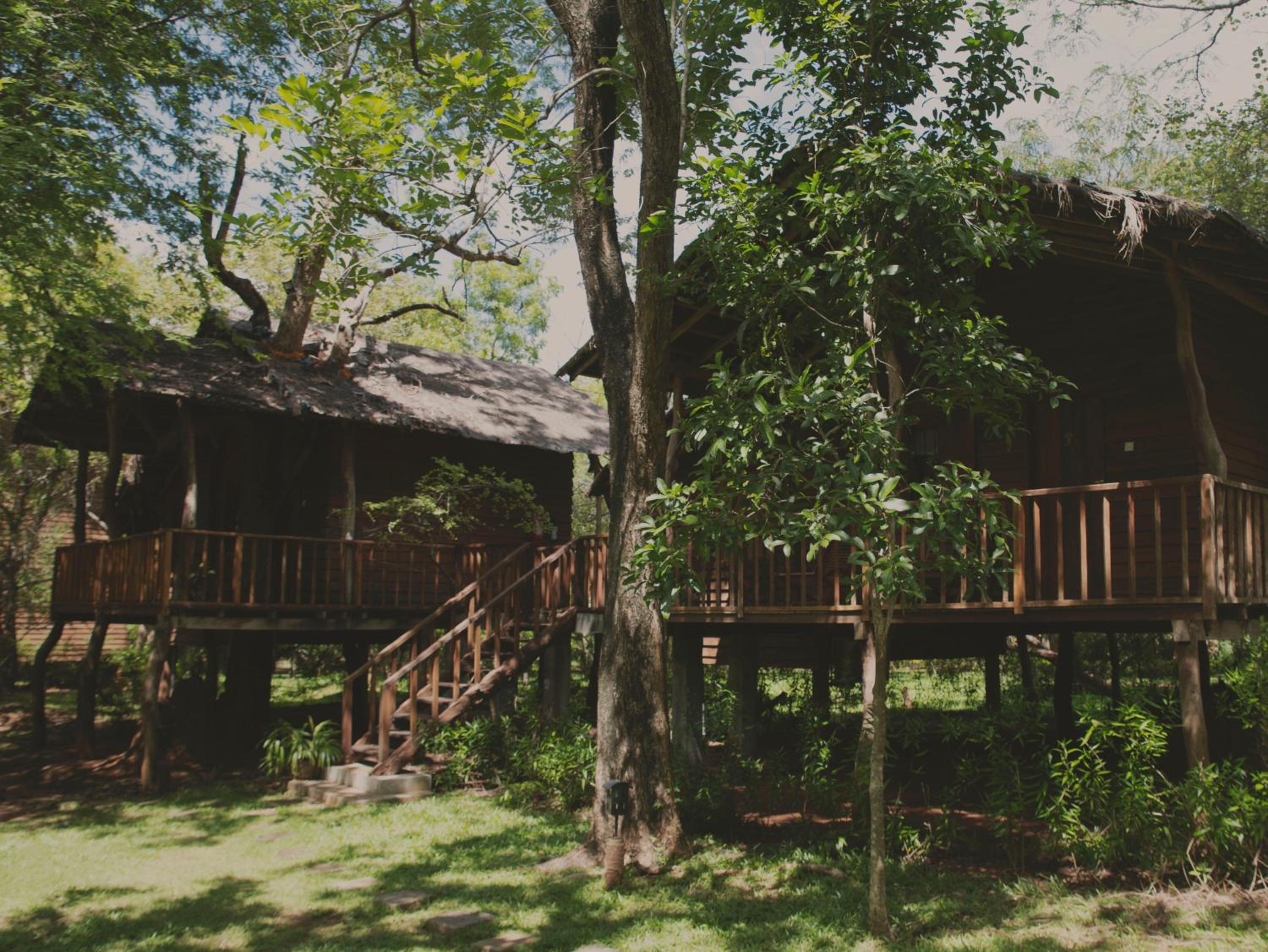 Duplex Tree Cottage photo 3