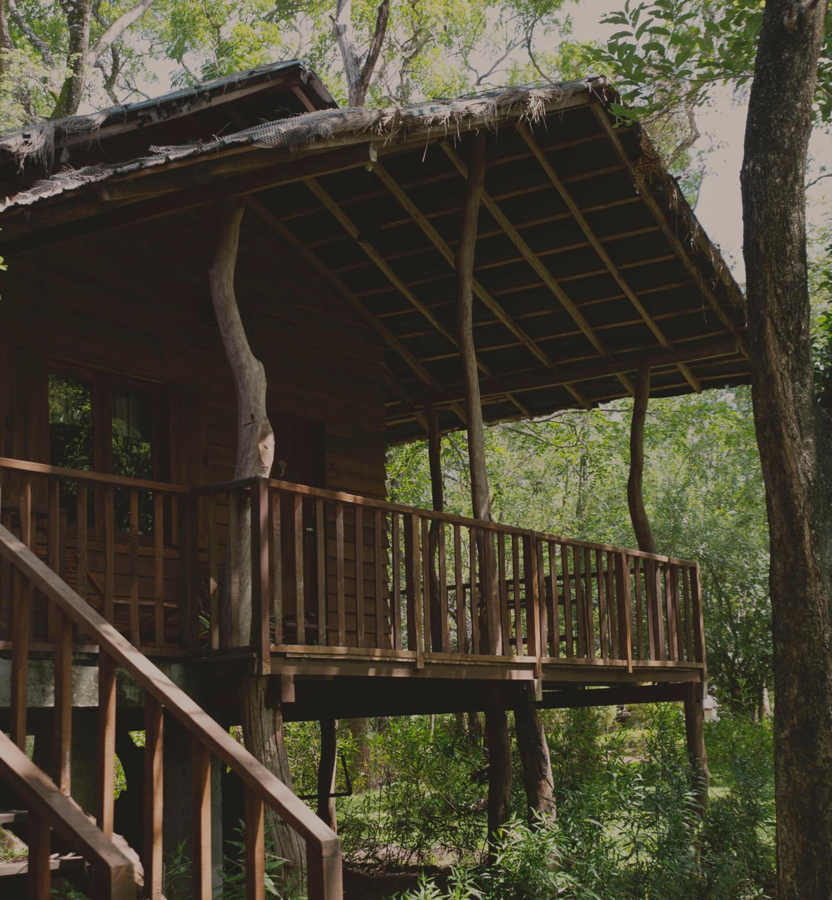 Duplex Tree Cottage photo 1